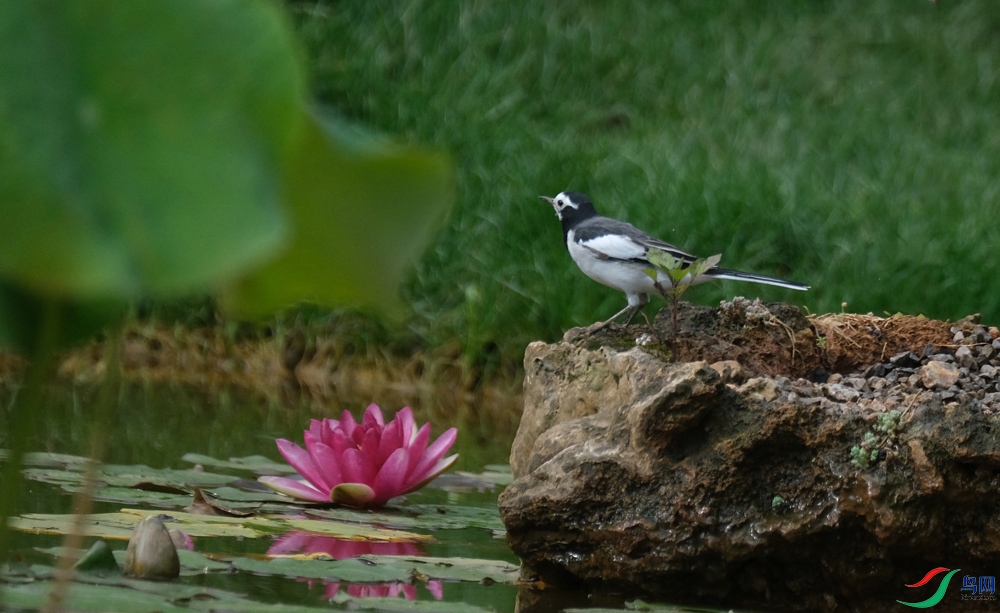 DSCF5895.1.jpg