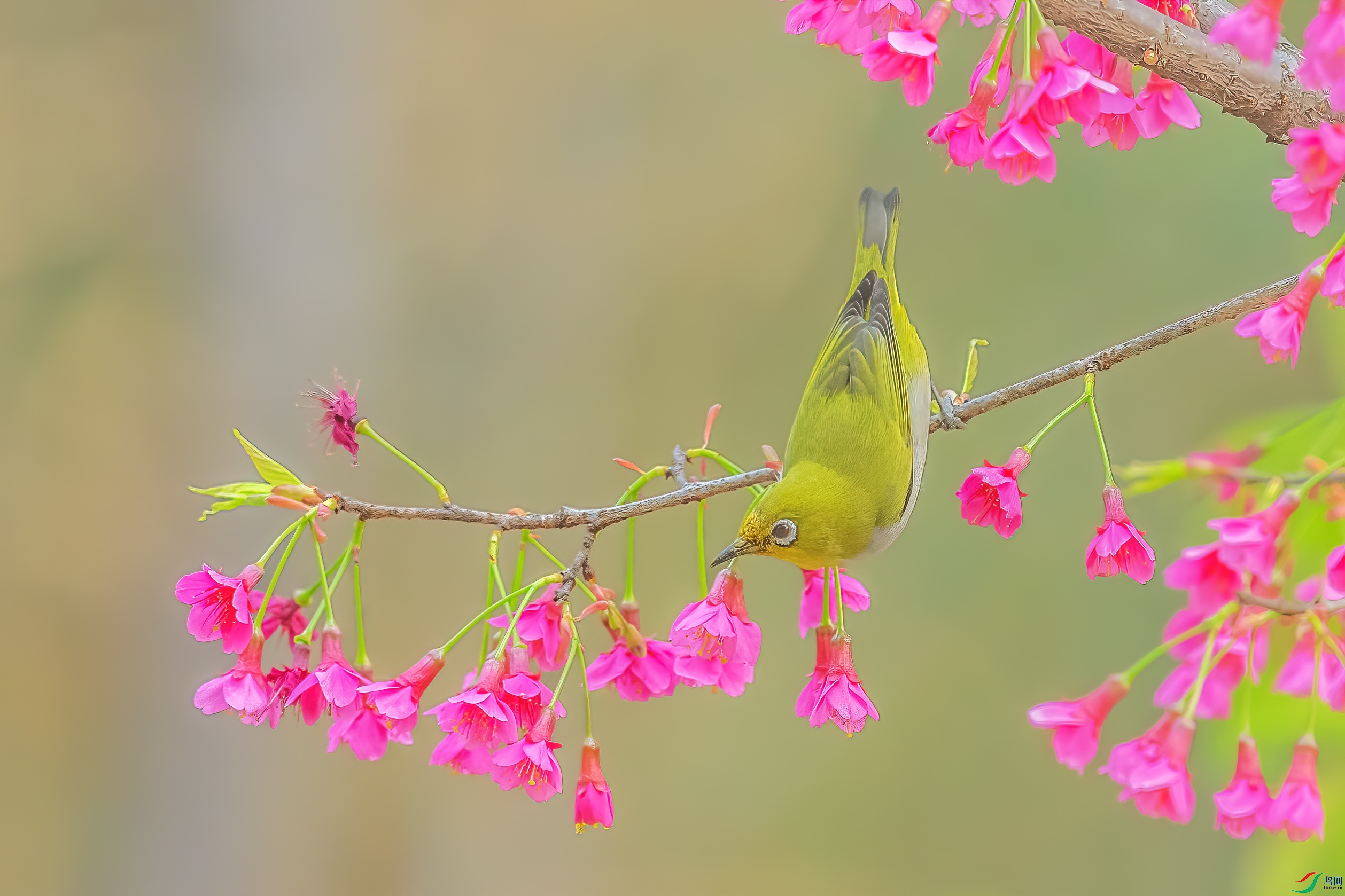 _09R5550 ����.jpg