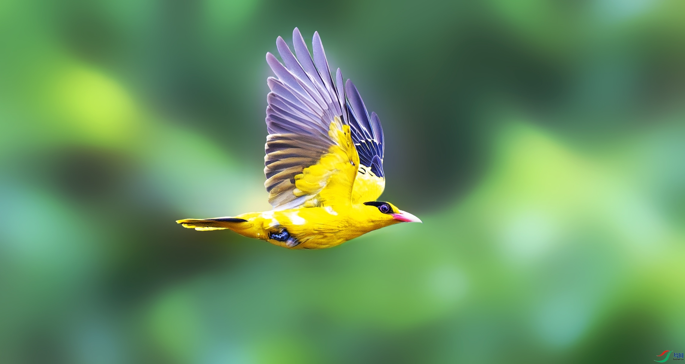 _DDS6485_����.jpg