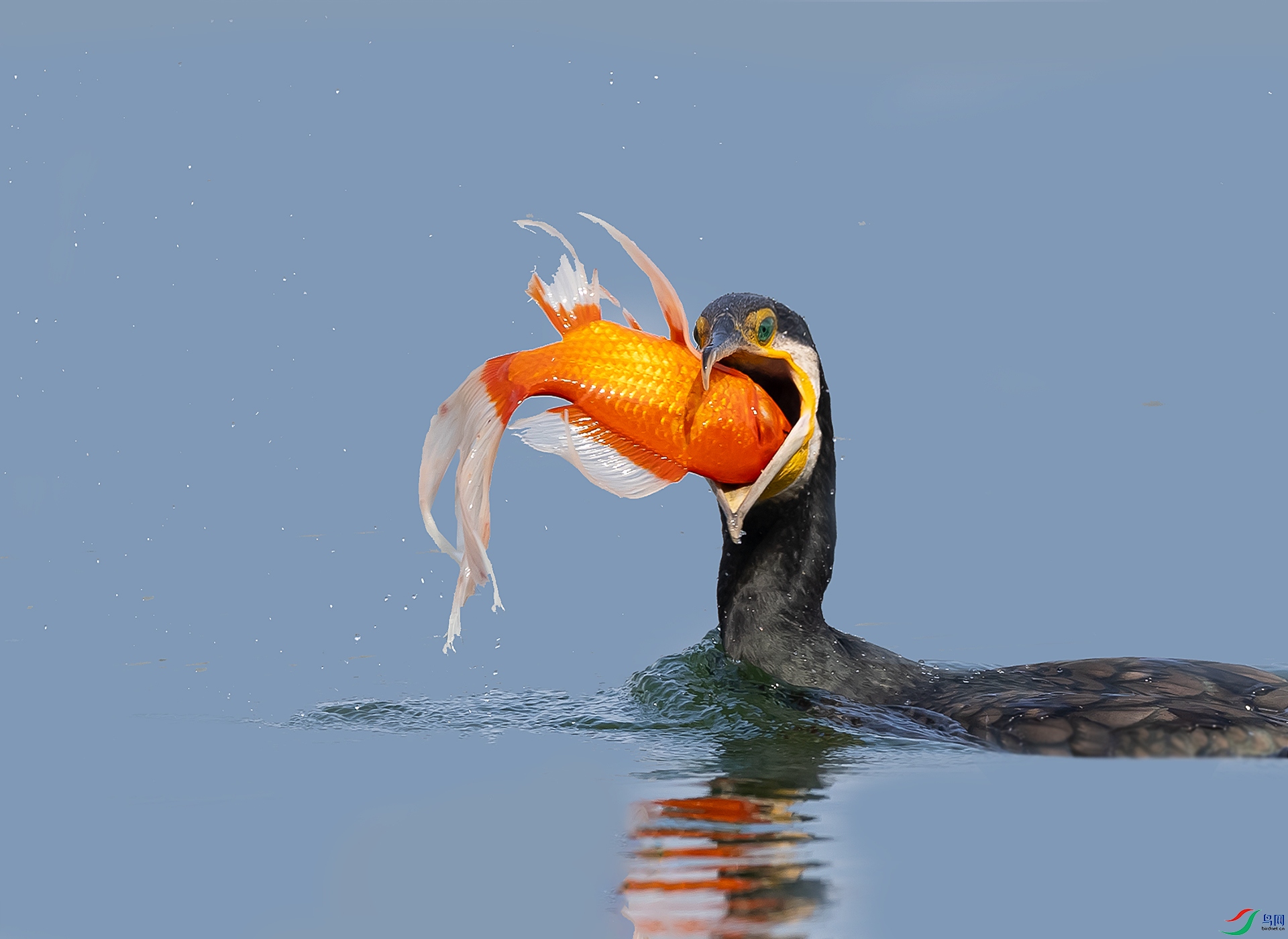 019A8937 ����.jpg