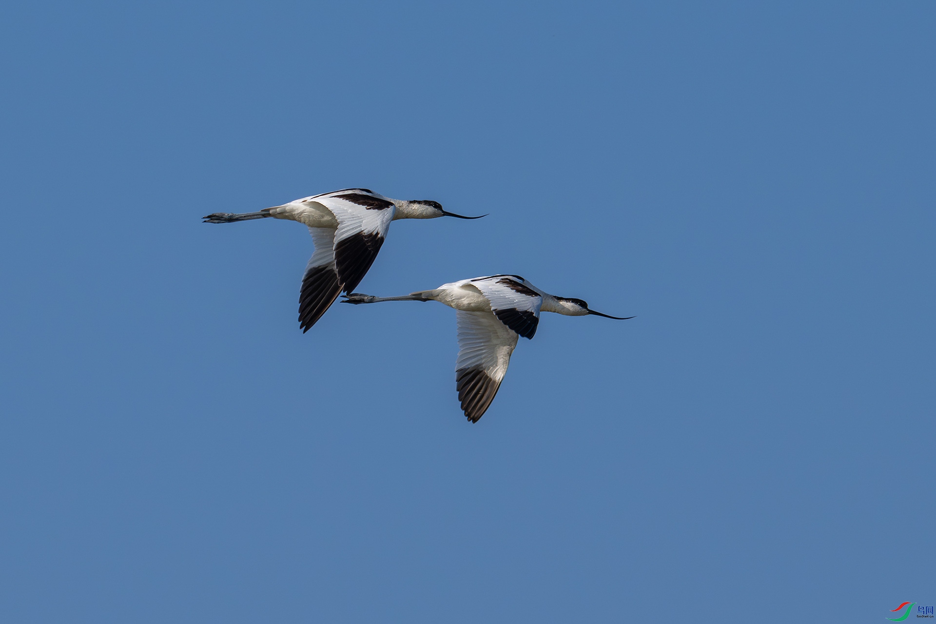 _DSC2613bb22.jpg