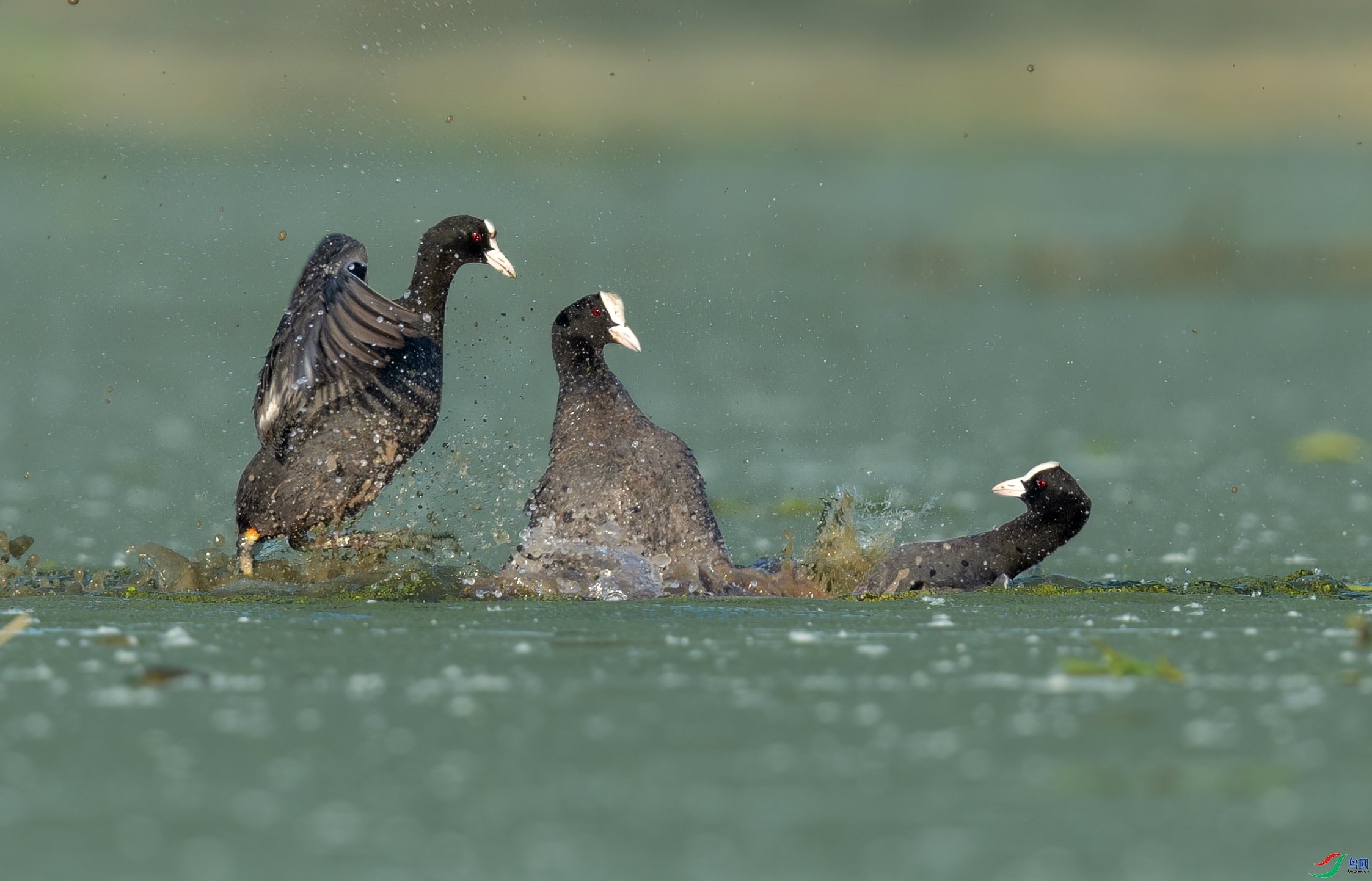 ÿ�ռ��� ����һ ���� һ·���� �ܶ�.jpg