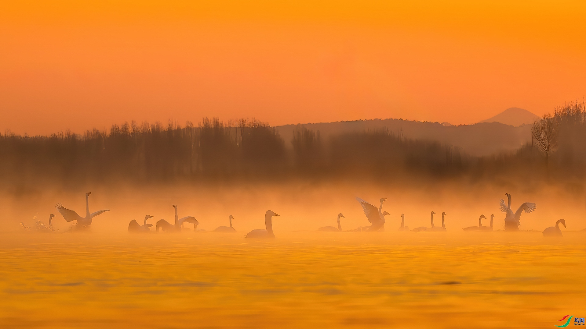 ÿ�ռ��� ���֮�� ���� ����ľ ����.jpg