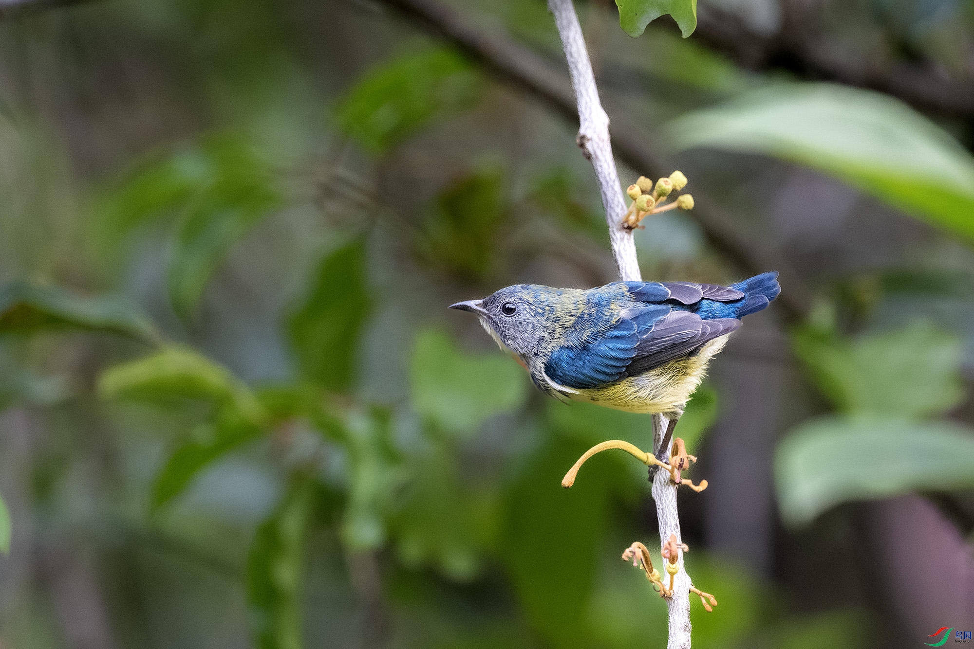 DSC_2684.jpg