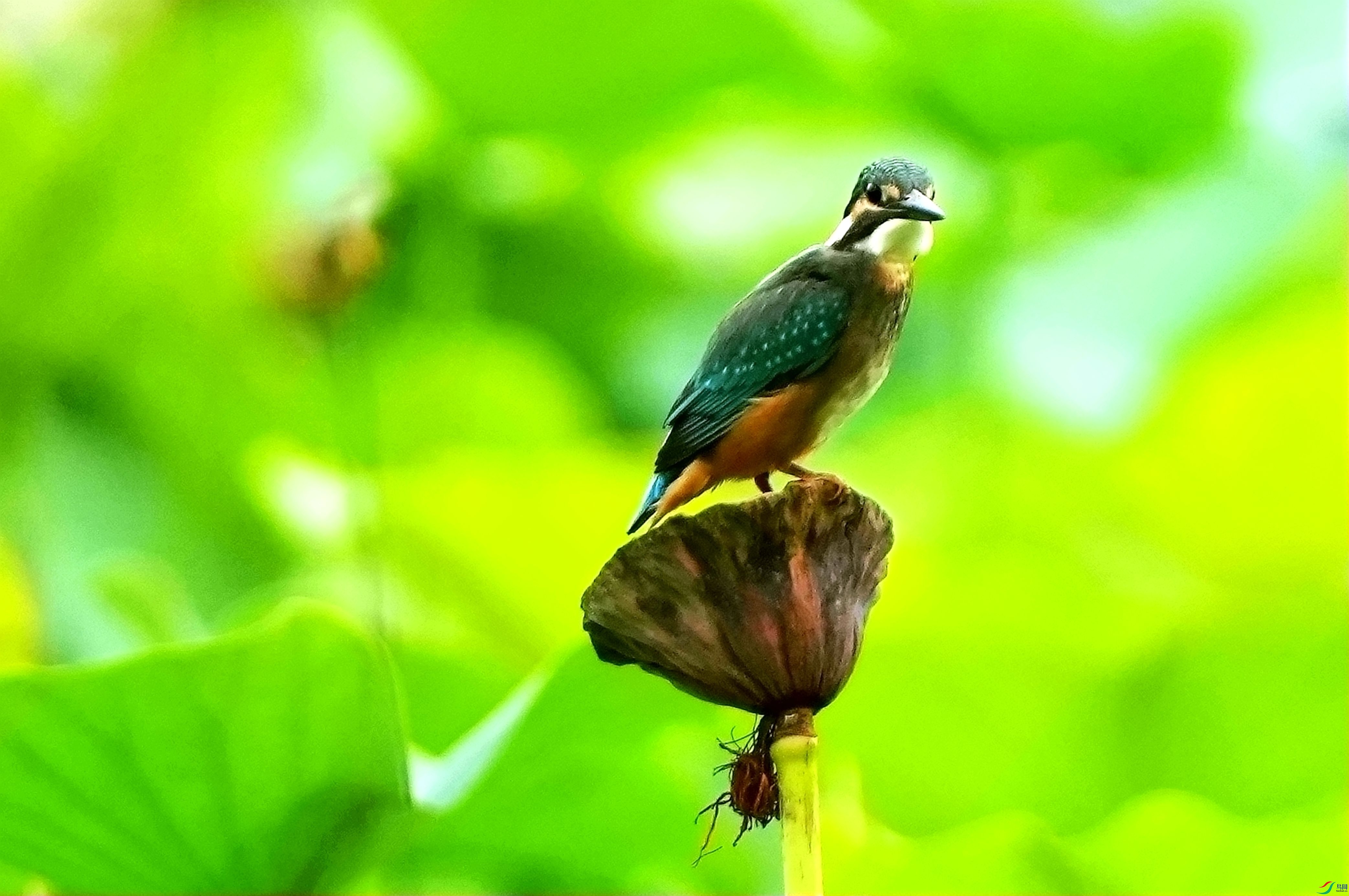 ����վ����DSC06593_����.jpg