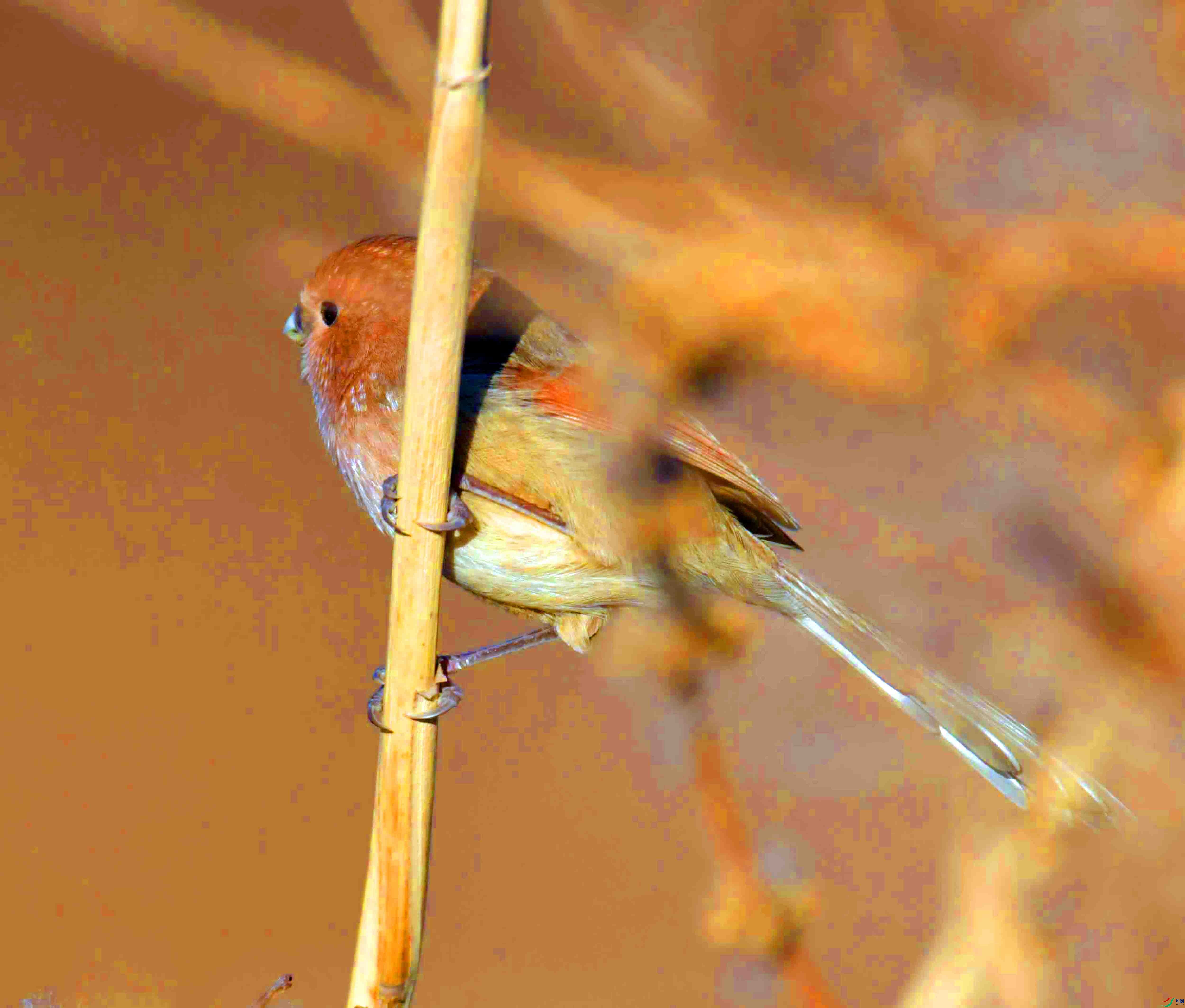 DSC_0645.JPG