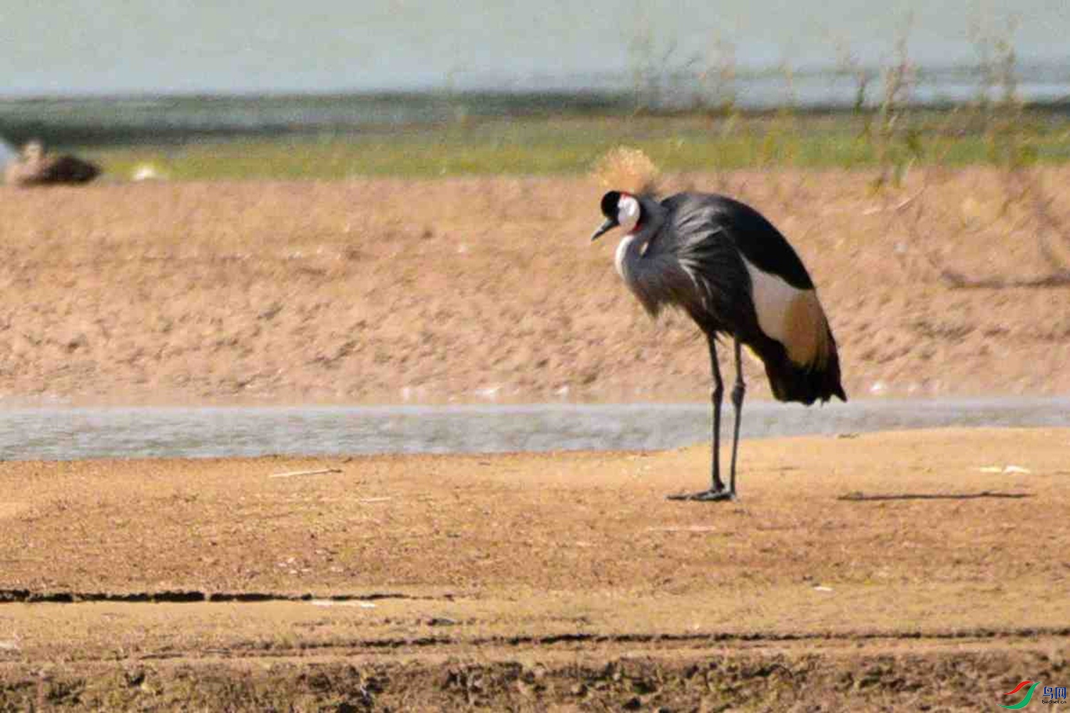 DSC_6314.JPG