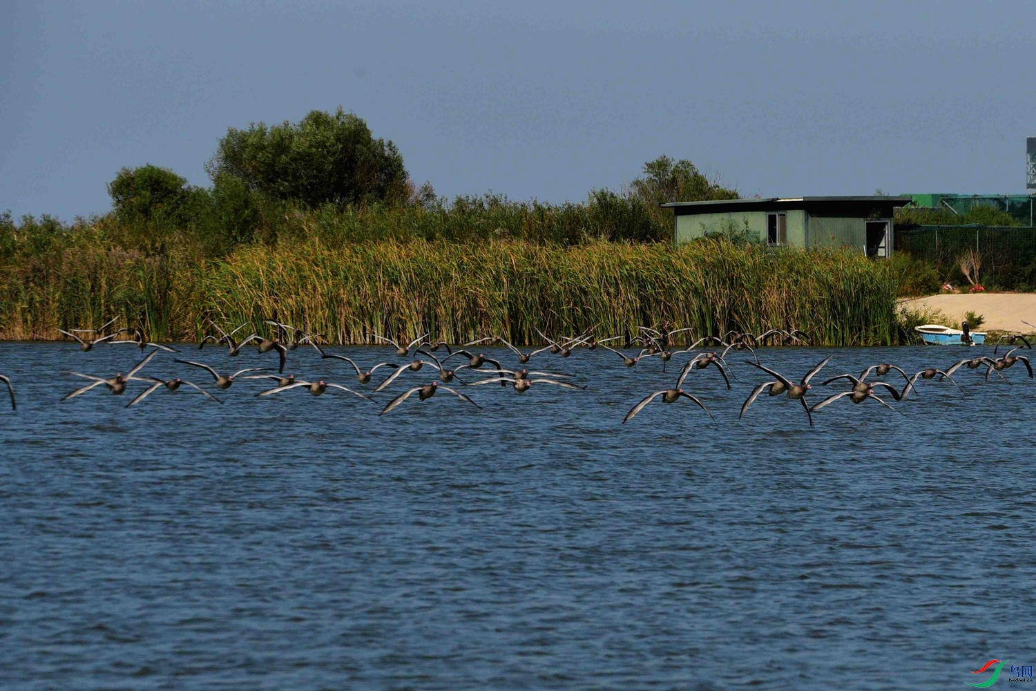 DSC_6845.JPG