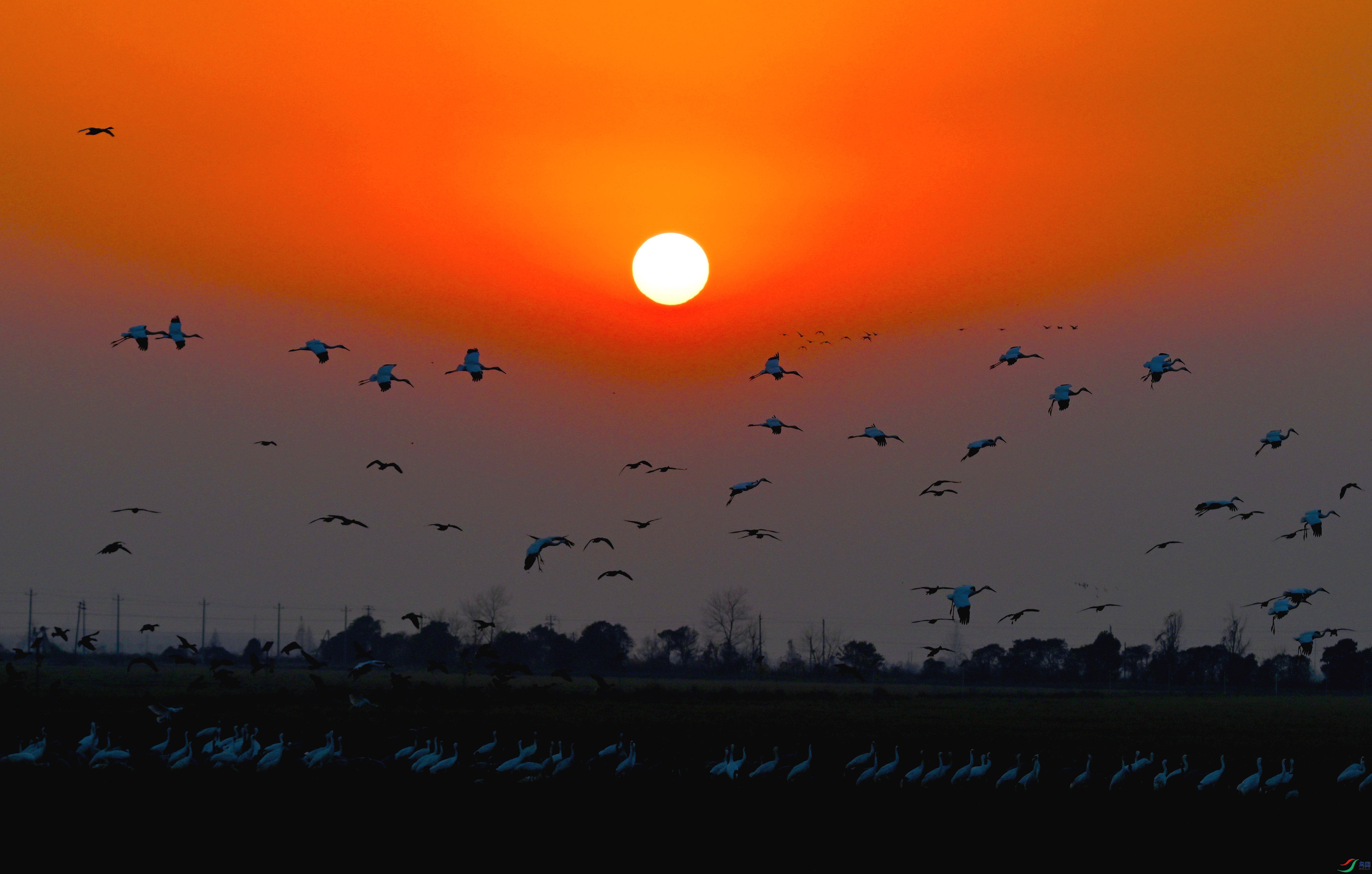 DSC_6897 ���� 2.jpg