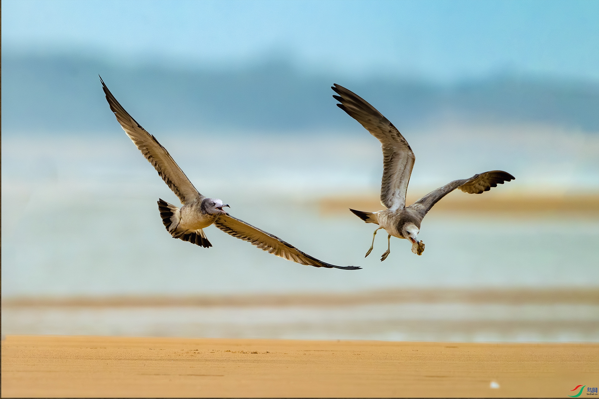 _DSC2371 ����1.jpg