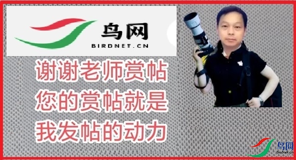 53237b7095f1ea6af6cd8218a706067 - ����.jpg