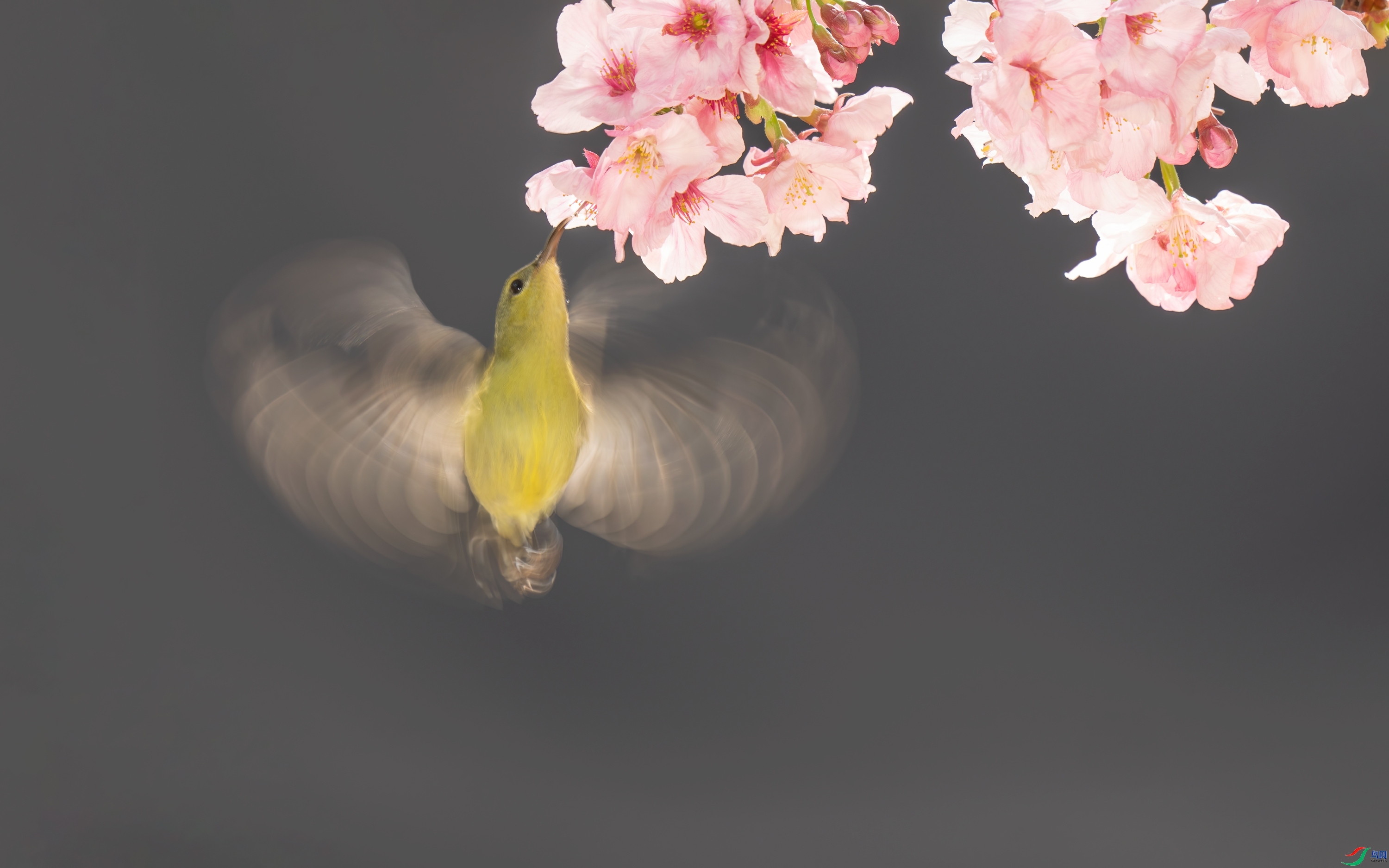 ��β̫���� ���� ���� ����.jpg