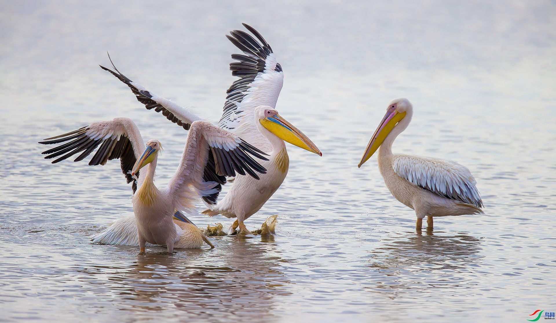 ���� ���� ���� ����.jpg