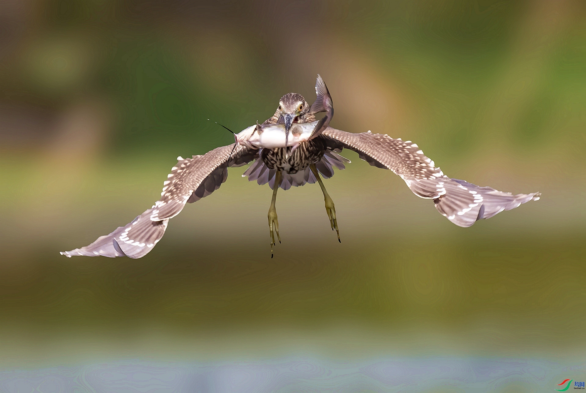 �ջ� ���� ������ ����.jpg