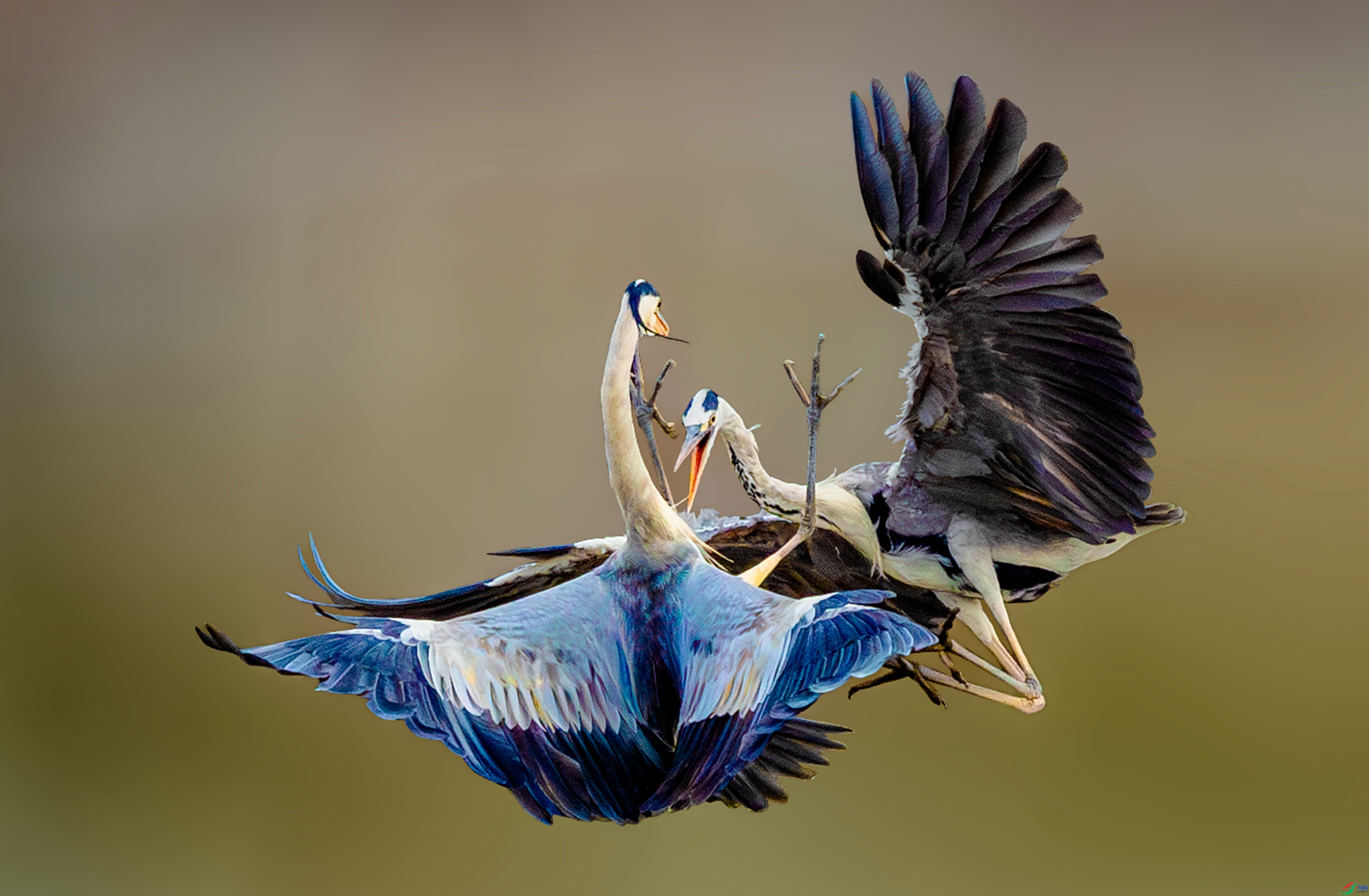 �мܲ�ס  ���� ���� ����.jpg