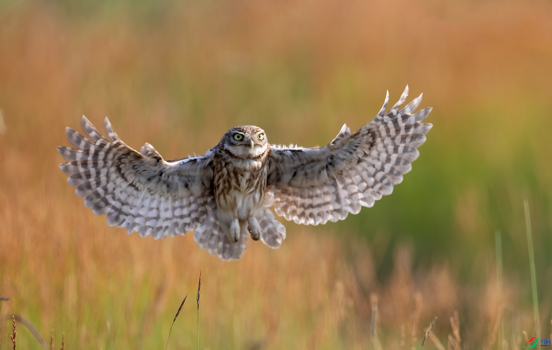 ���Ƹ�С�^ ���� ���� ����.jpg