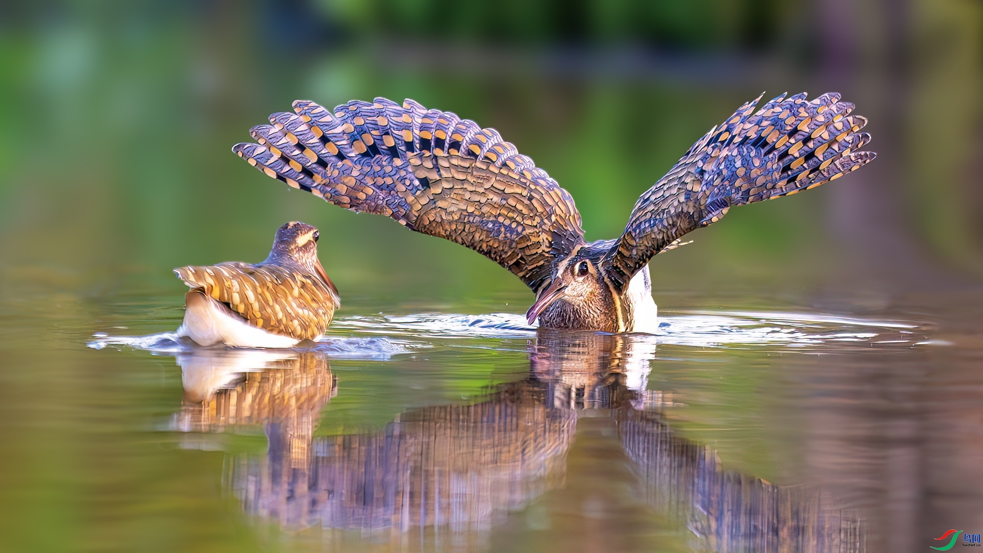 ����  ���� ����.jpg