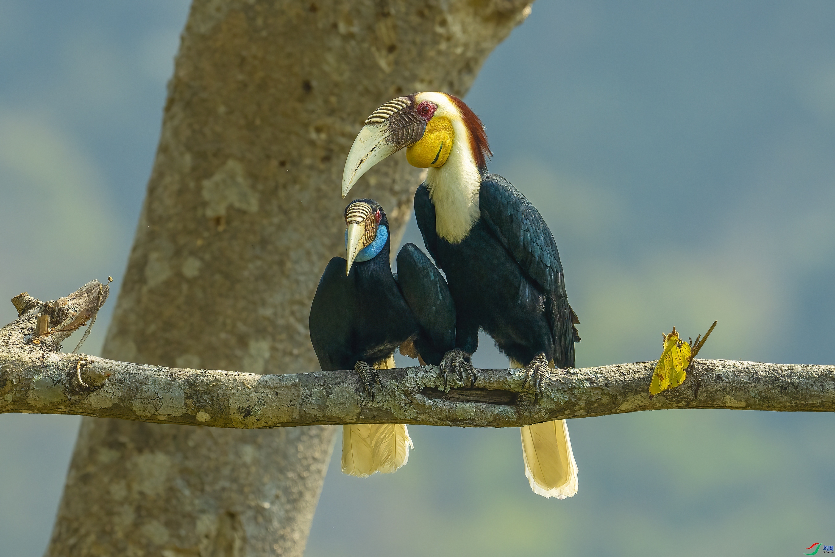 ������ ���� ����· ����.jpg