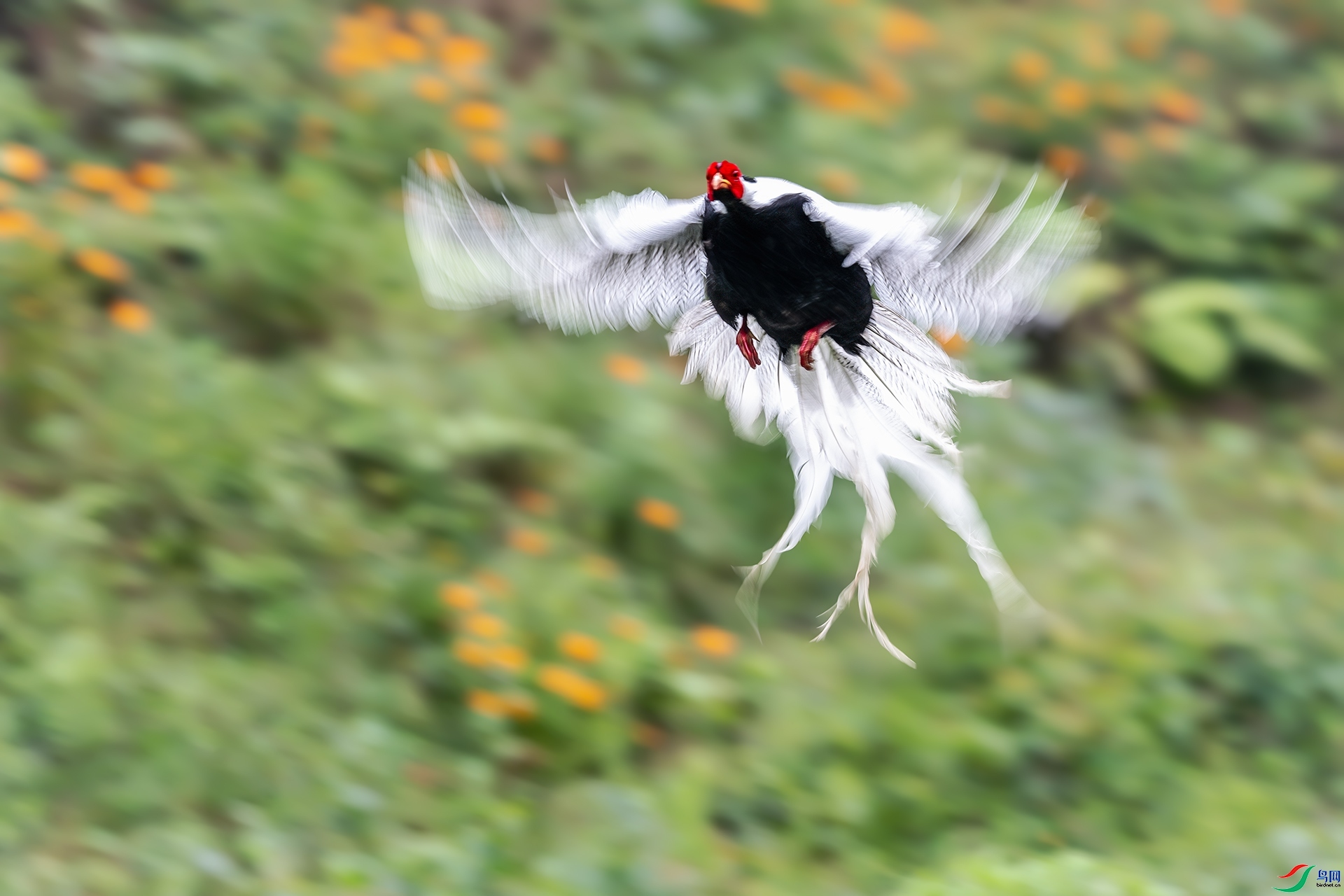 ������������ ���� ����.jpg