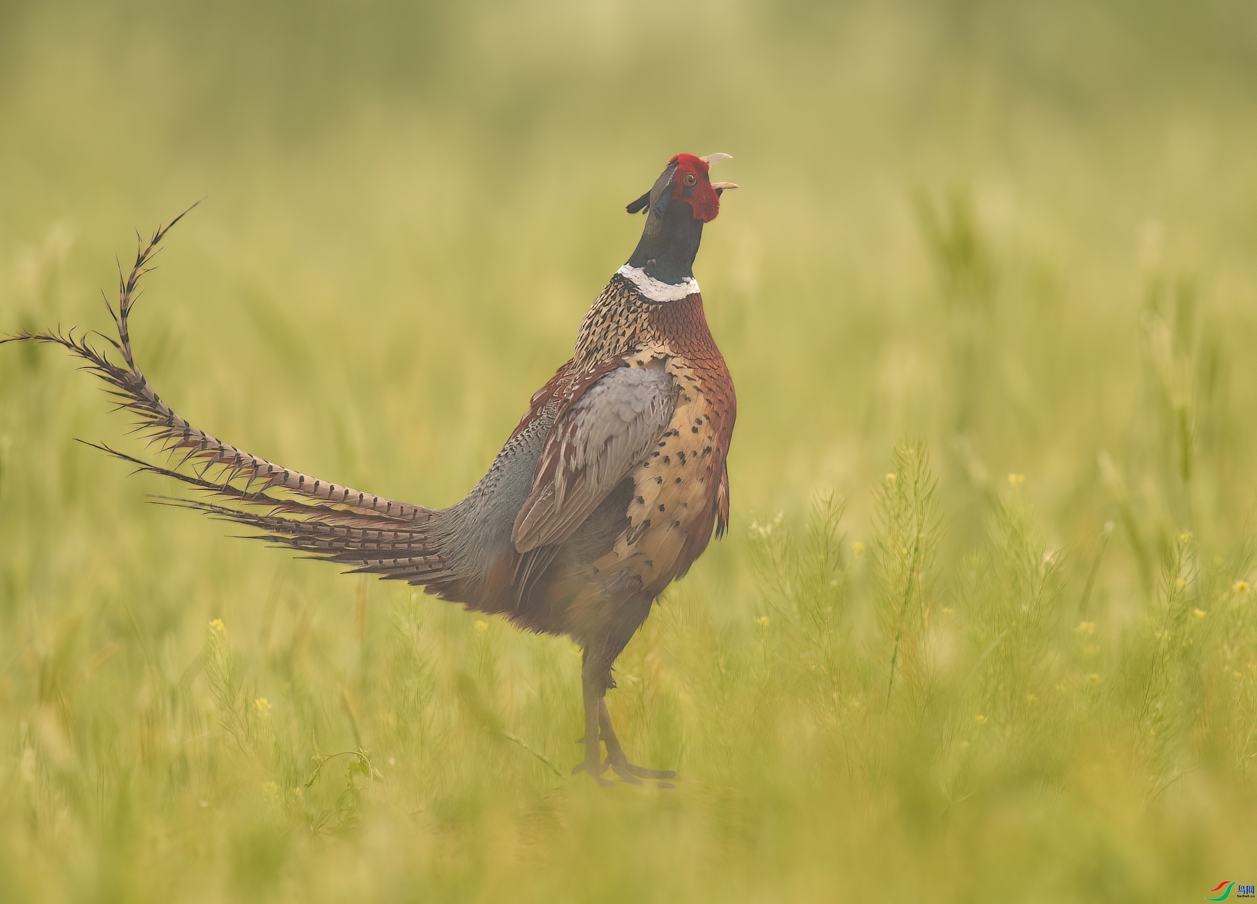 ������Ĵ󹫼�  ���� һ·���� ����.jpg