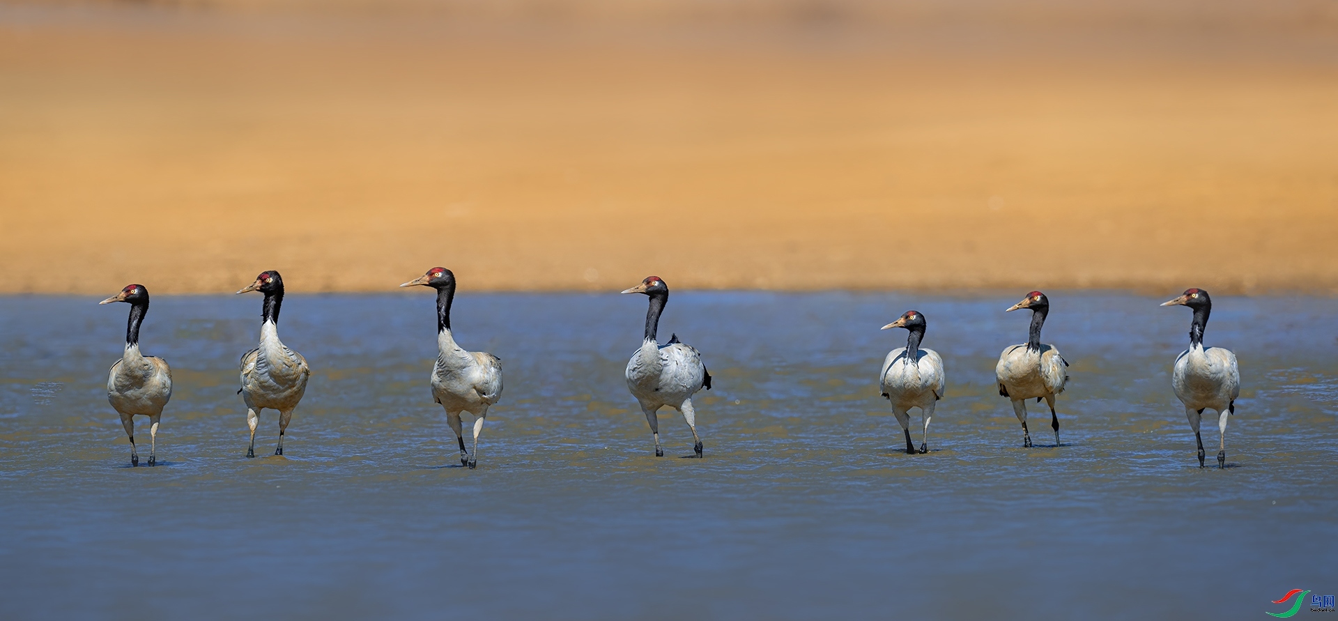 ǰ�� ���� �������� ��һ.jpg