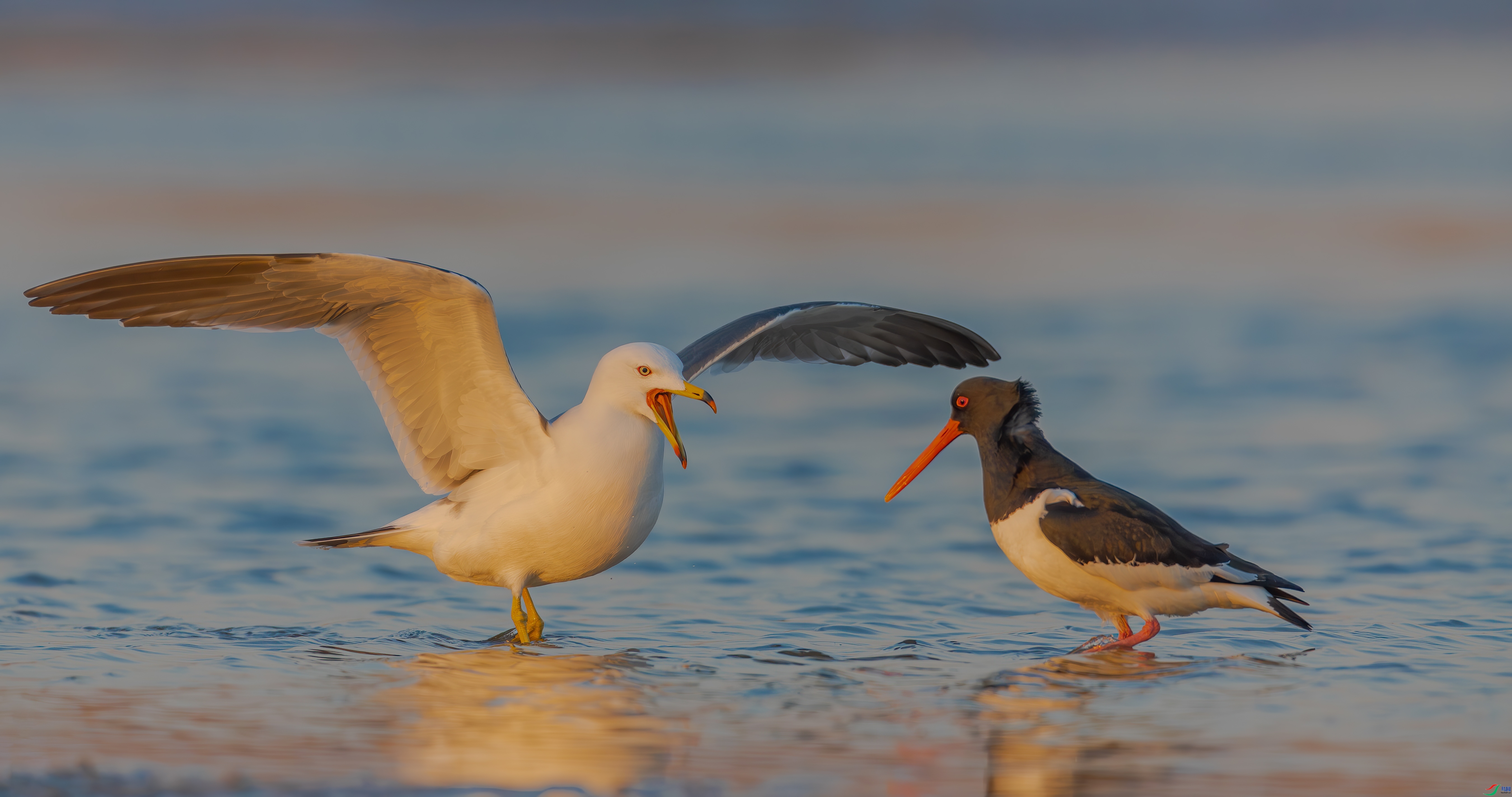 �������� ���� �䱾���� ��һ.jpg