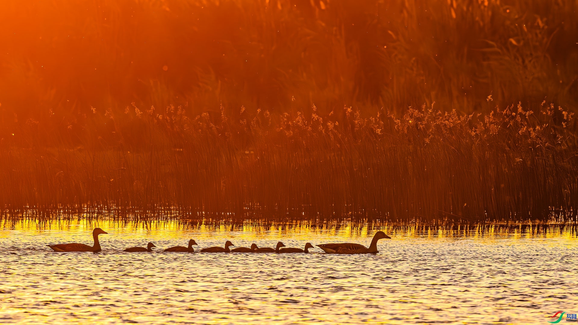 �Ҹ���ͥ ���� ɳ���Խ� �ܶ�.jpg