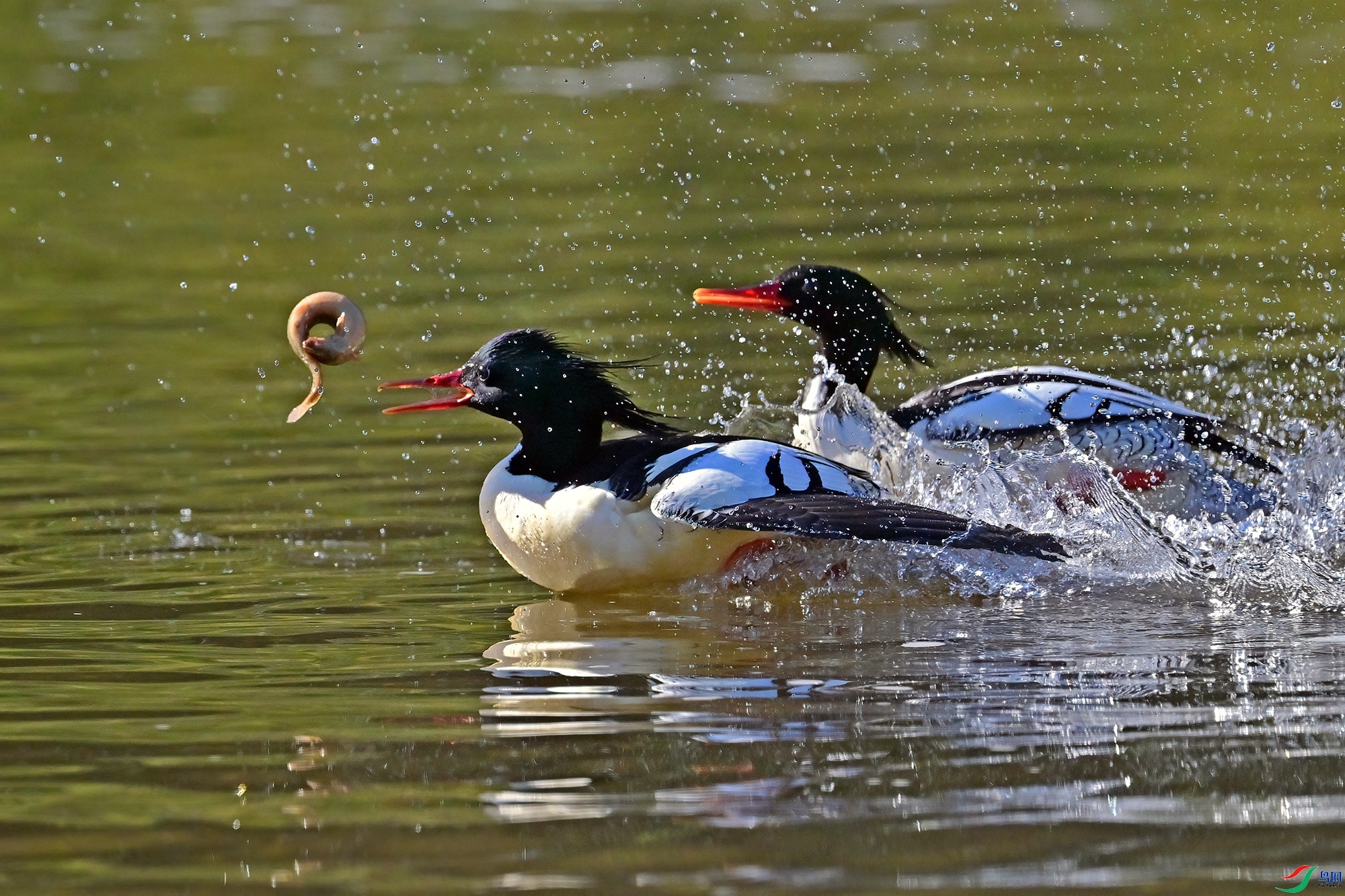 ׷����  ���� 0451x  �ܶ�.jpg