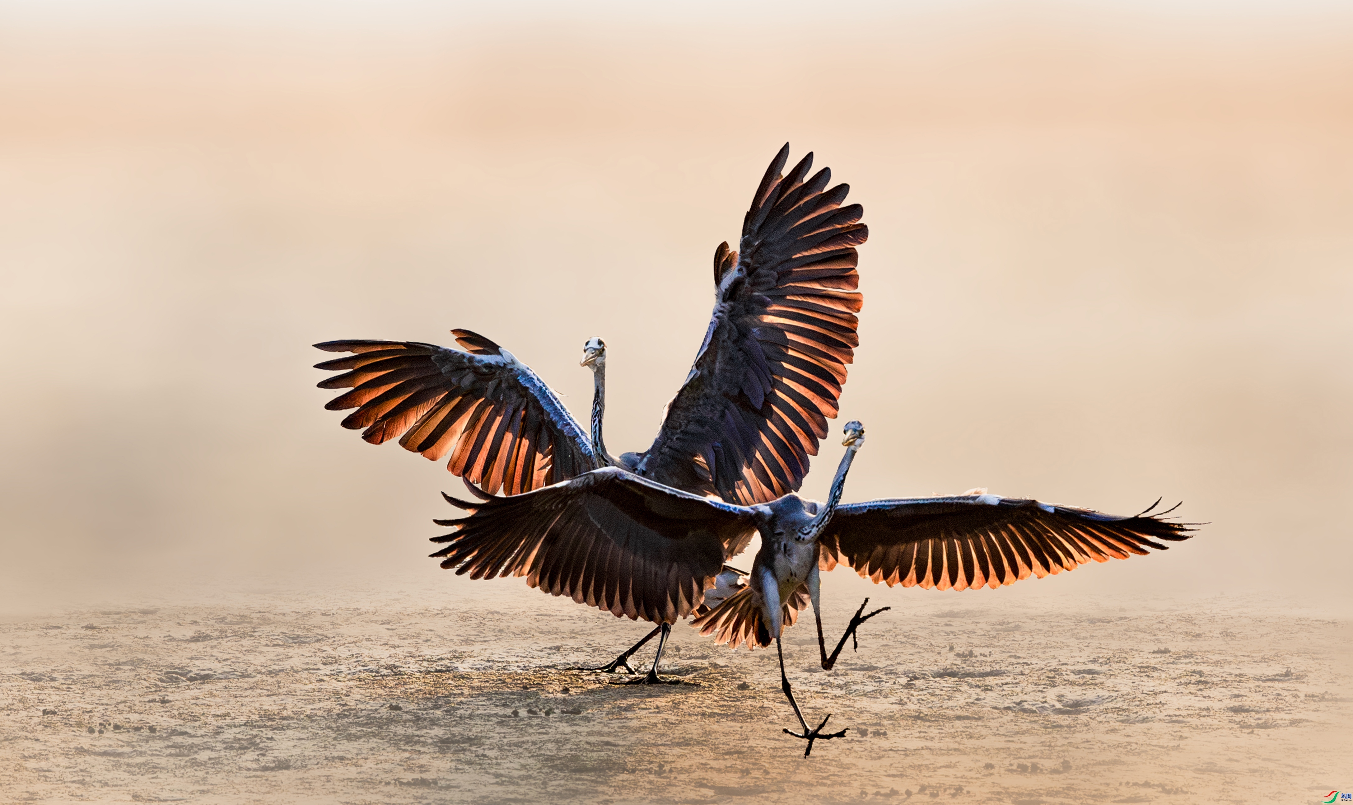 ��������  ���� ���� ����.jpg