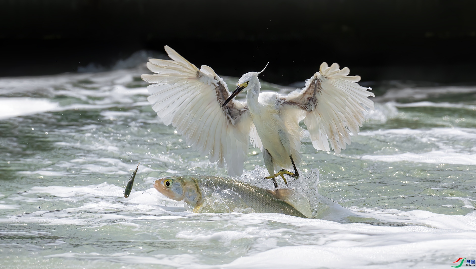 �� ���� ���� ����.jpg