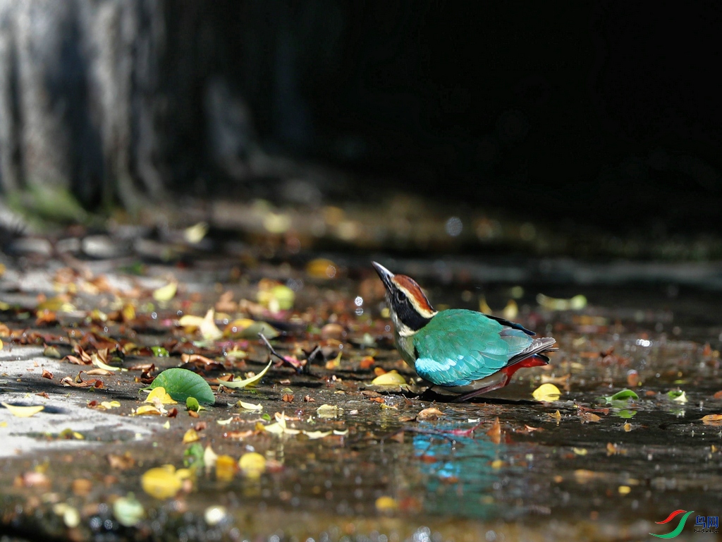 DSC20220522179.jpg