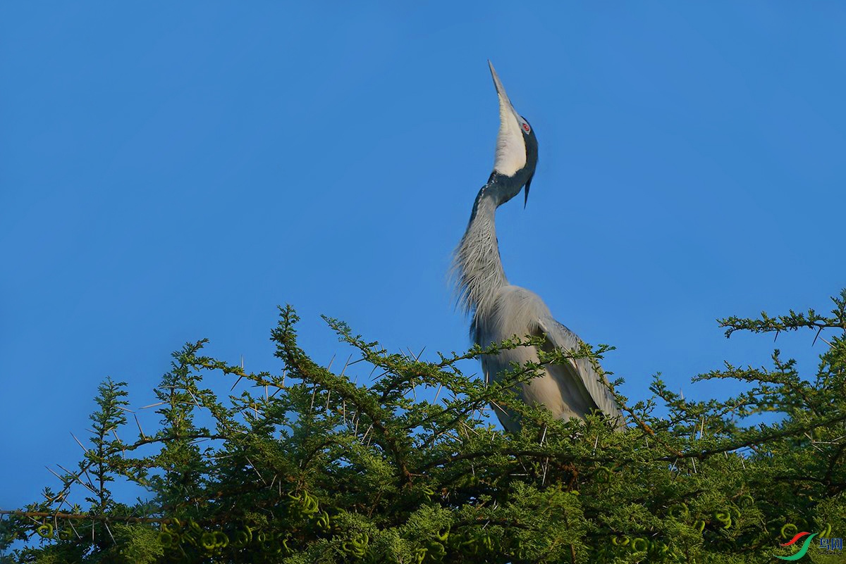 DSC_2326_.jpg