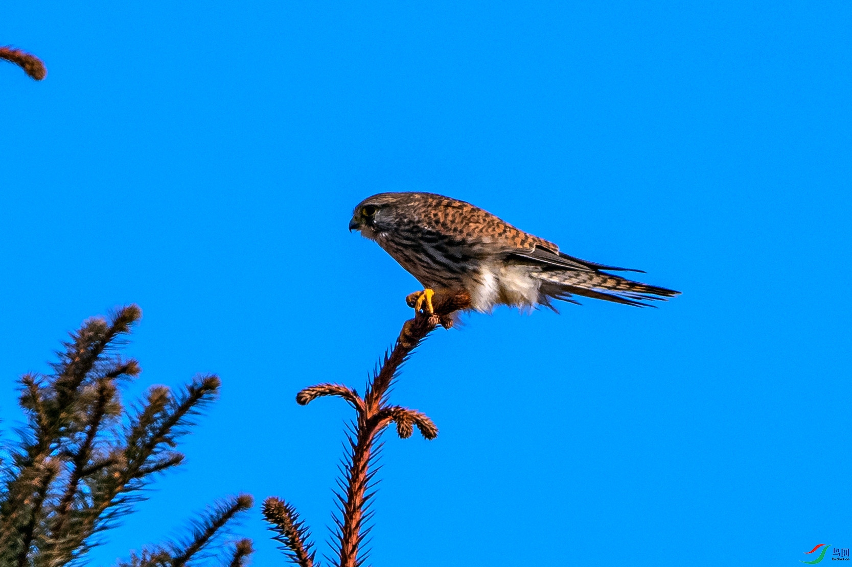 _AUU1050����(23.12.13).jpg