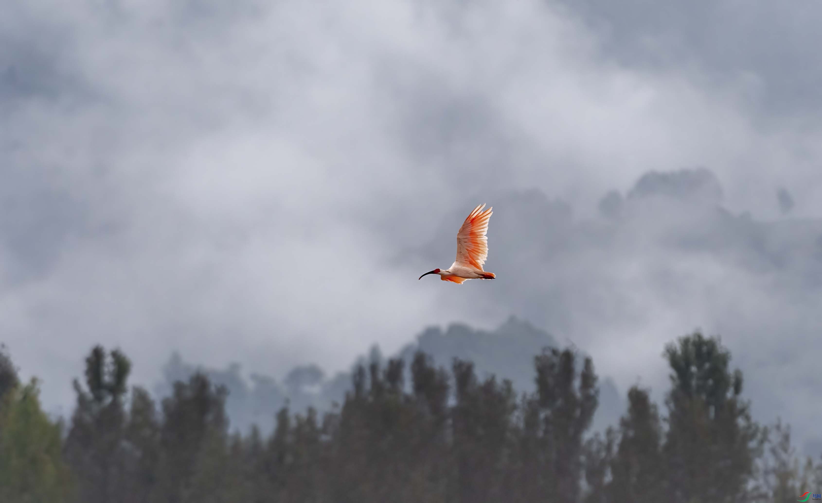 DSC_9333 ����.jpg