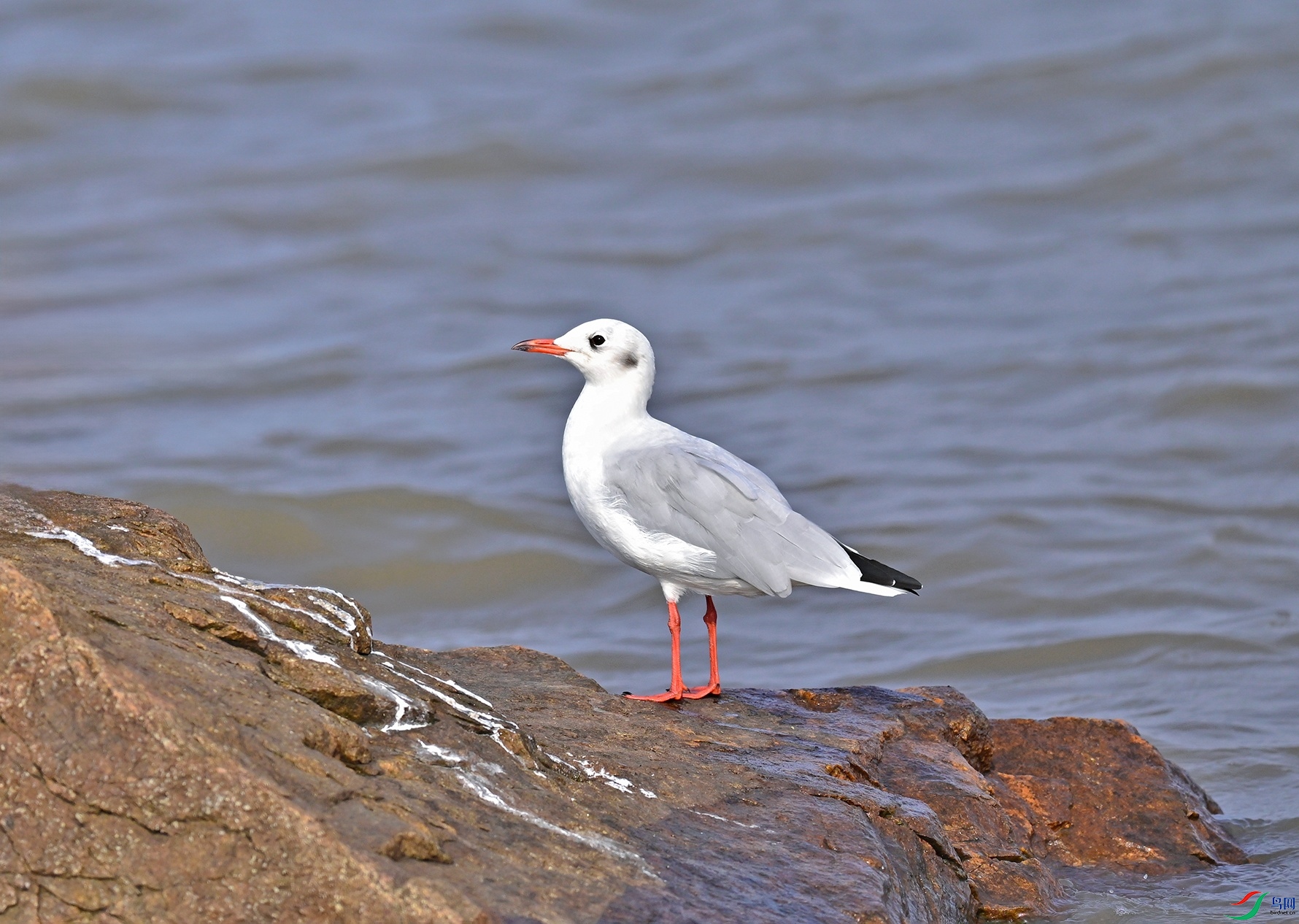 _DSC6320f.jpg