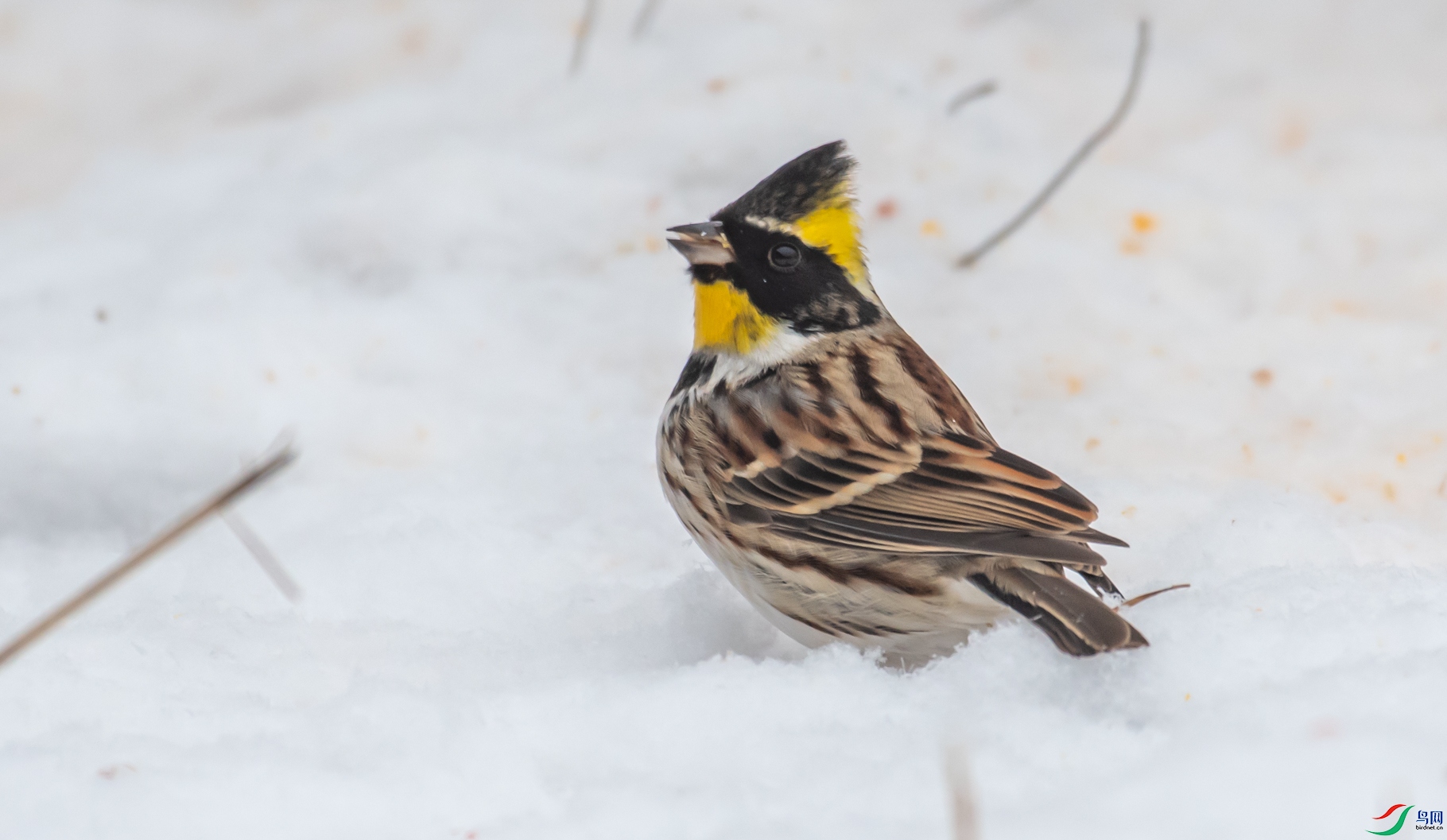 DSC_7748.jpg