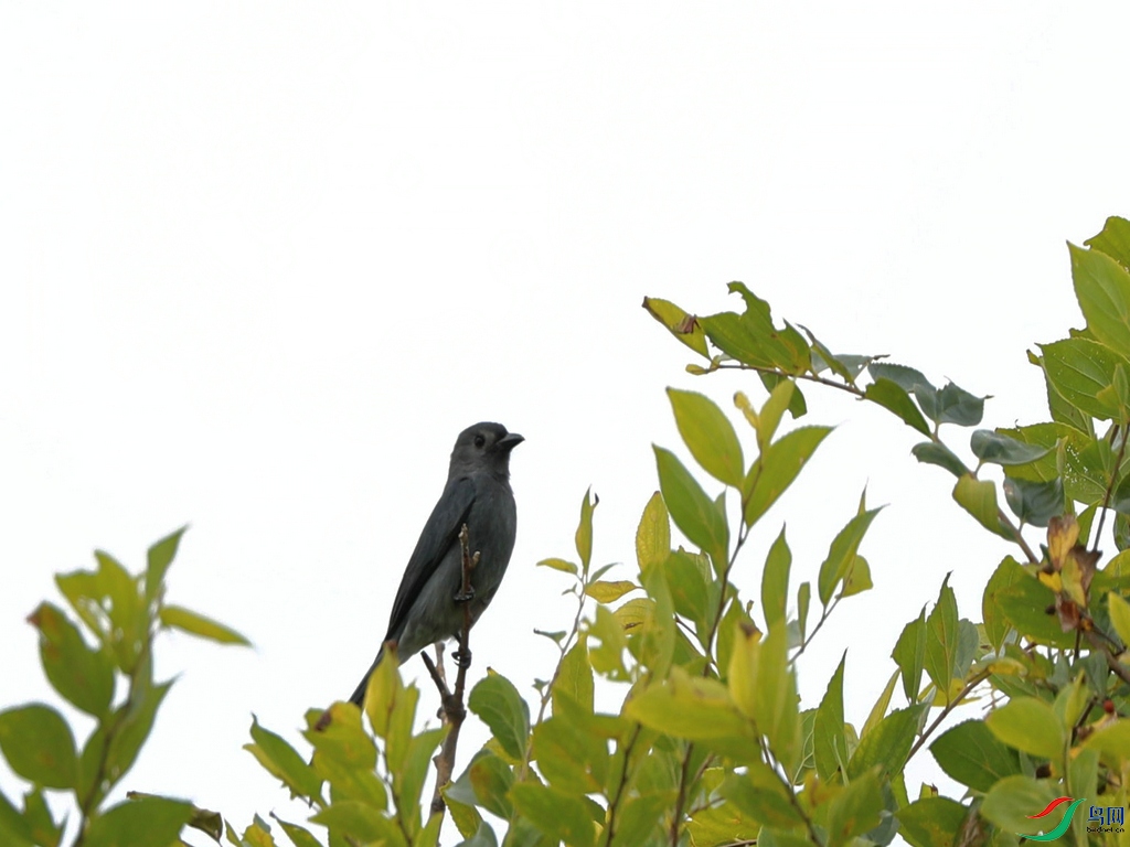 DSC20221006195.jpg