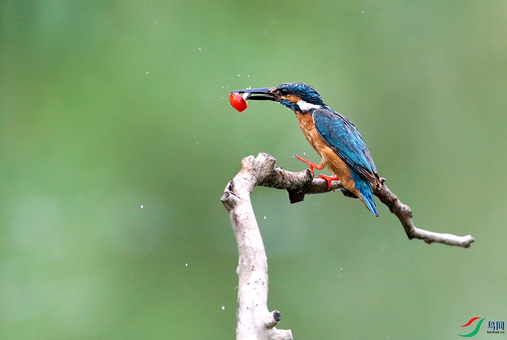 mmexport1627257211888 - ����.jpg