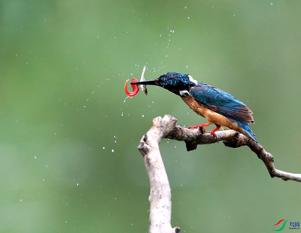 mmexport1627257218602 - ����.jpg