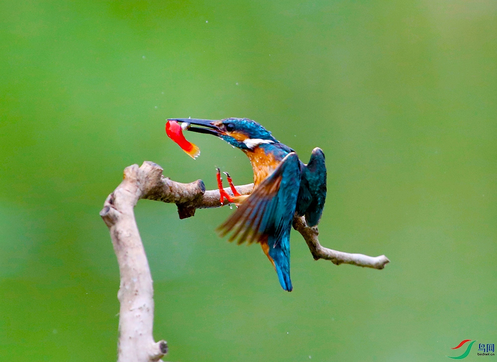 mmexport1627257204873 - ����.jpg