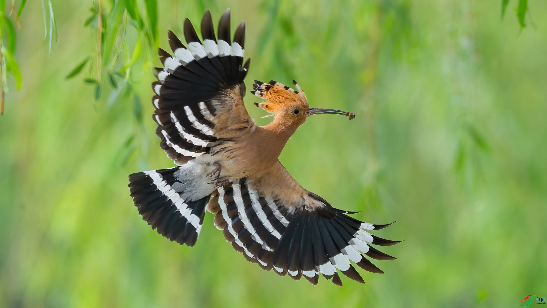 EV3W3210-�༭ (2).jpg