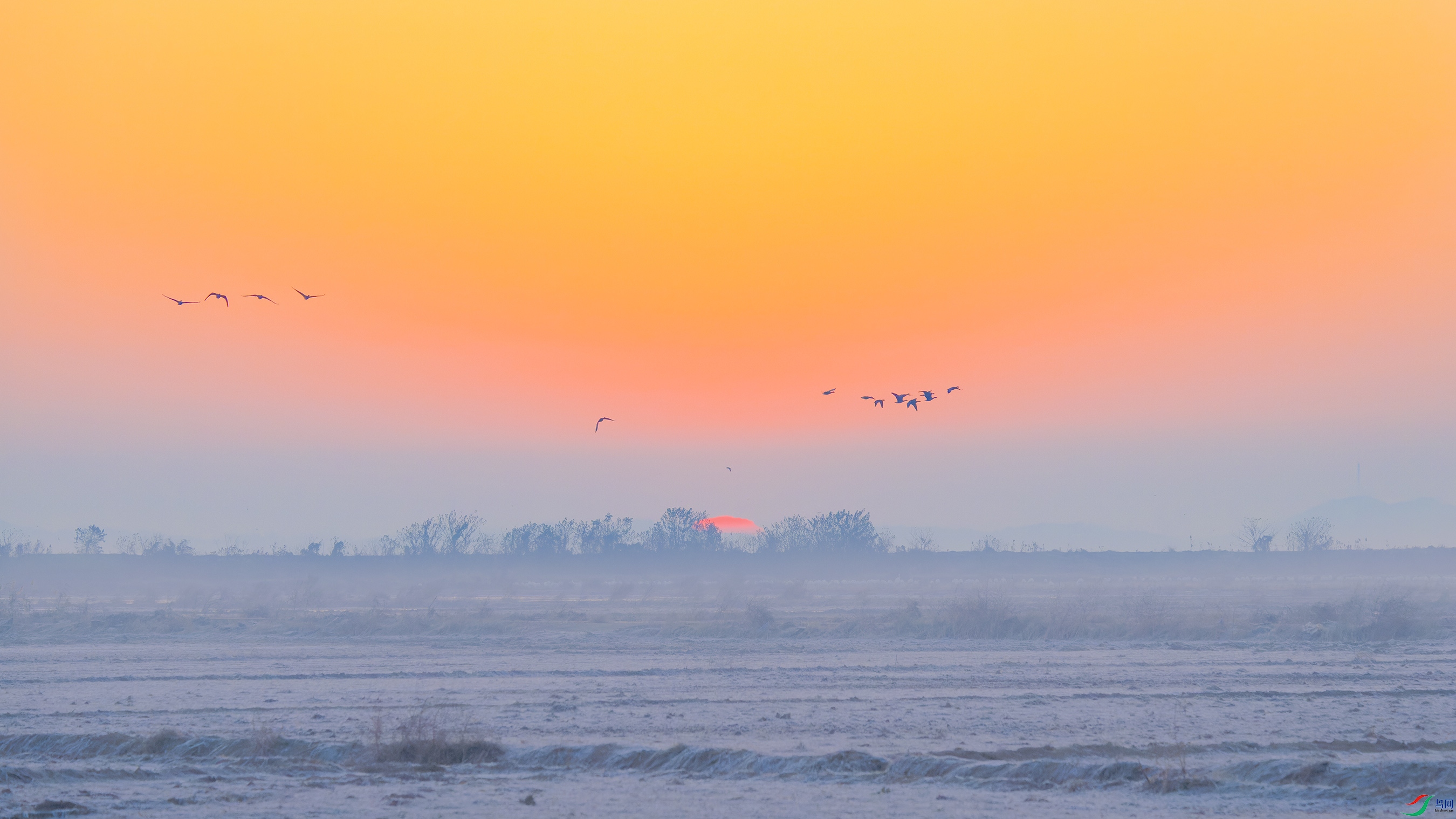 DSC_5677_DxO.jpg