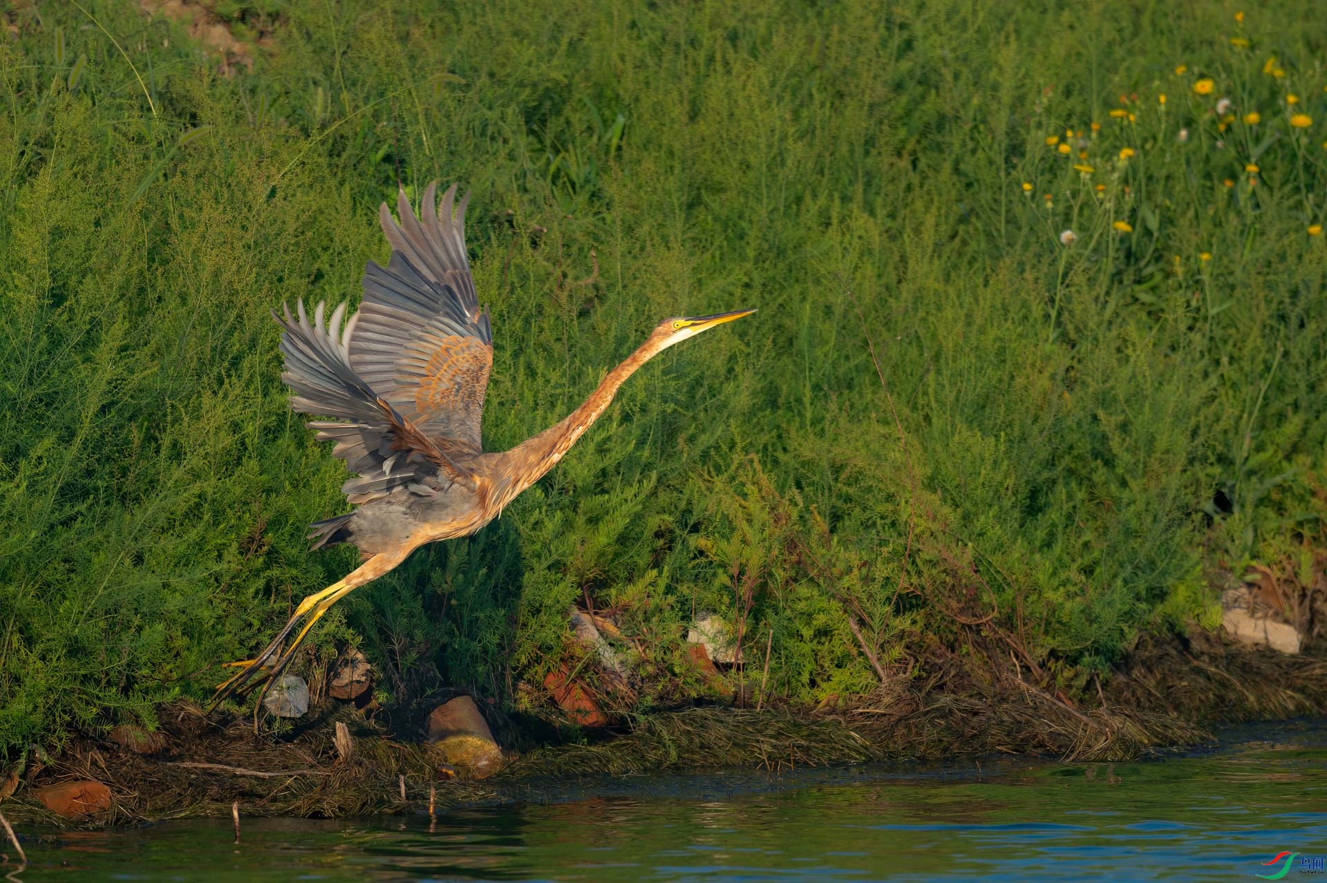 sen2016 8-27-5-�༭-3.jpg