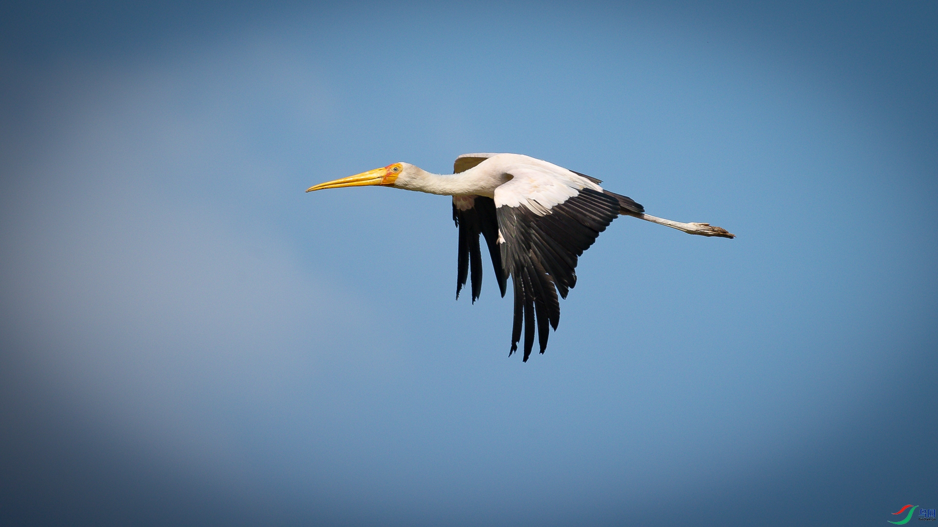 �������Ұ����Ҳ���3