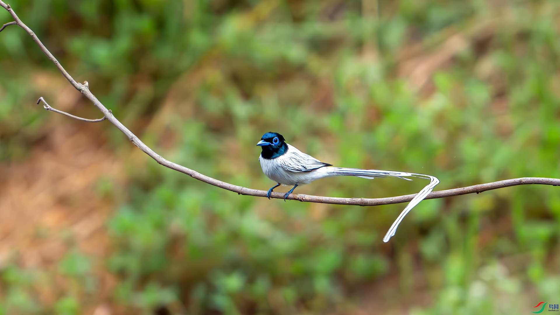 DSC_1050.jpg