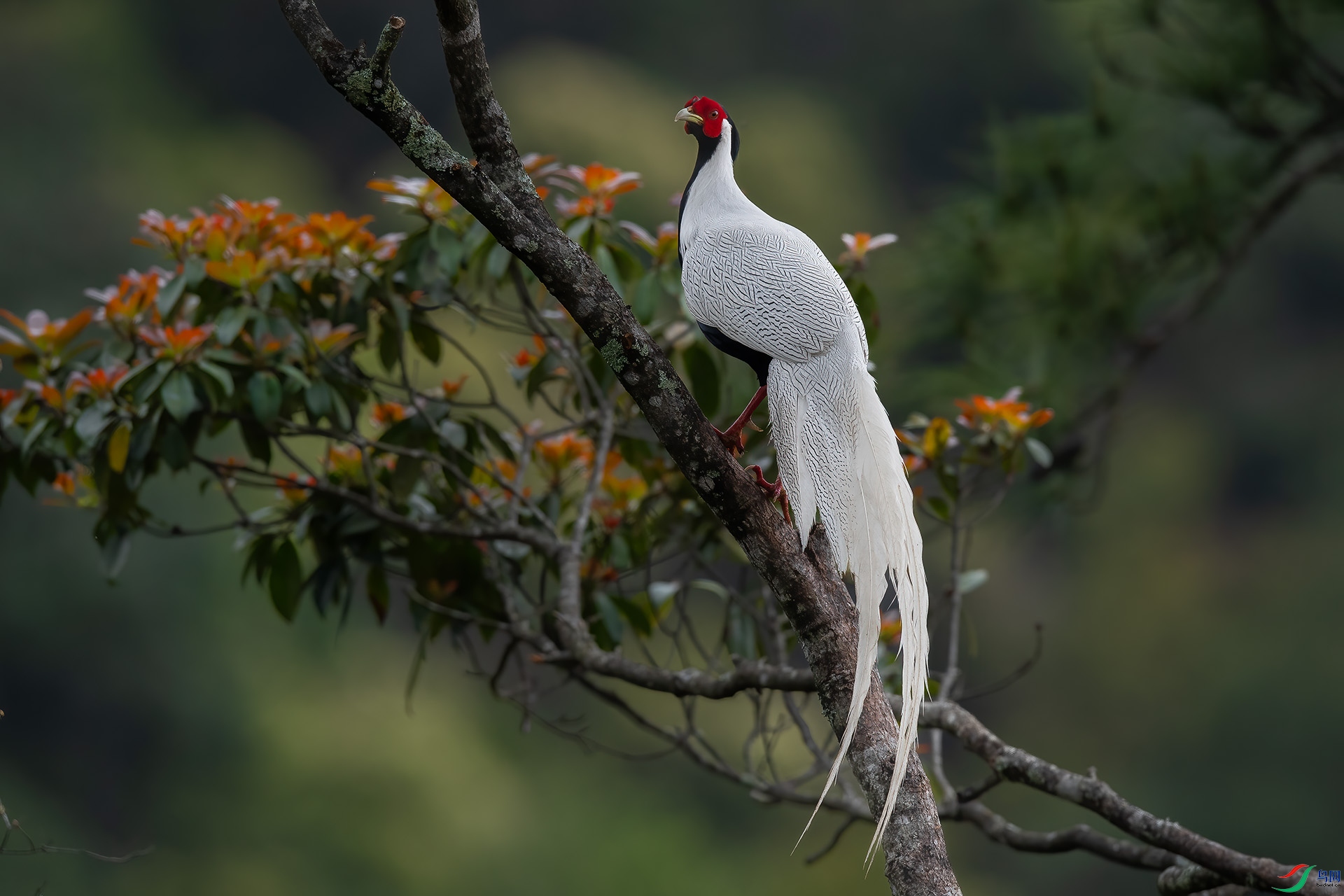 DSC_8438 ����.jpg