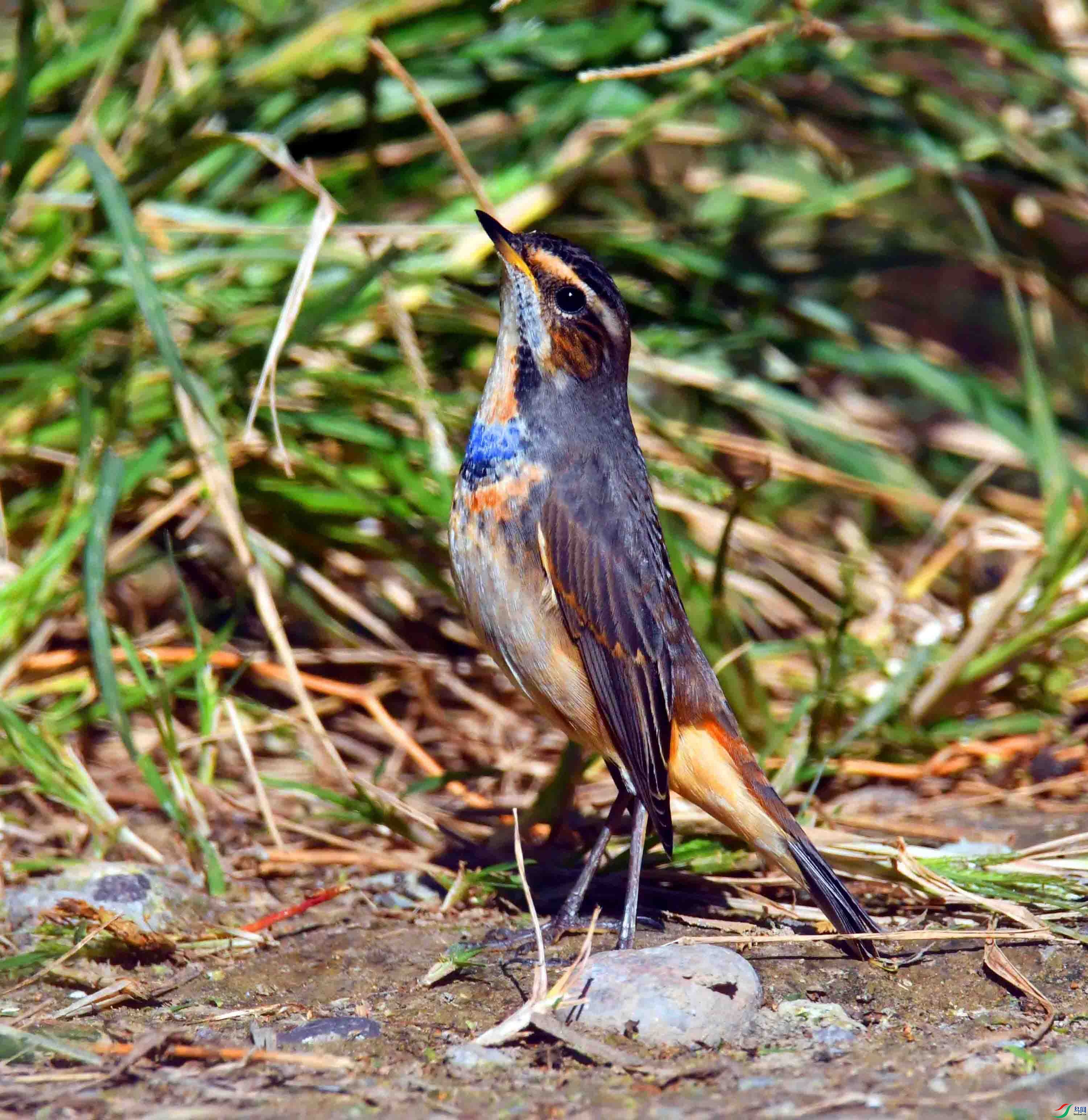 DSC_5922.JPG