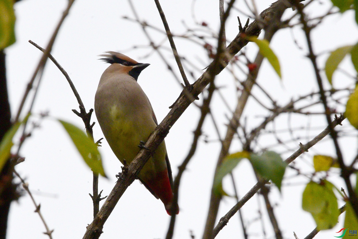 DSC_5834.JPG