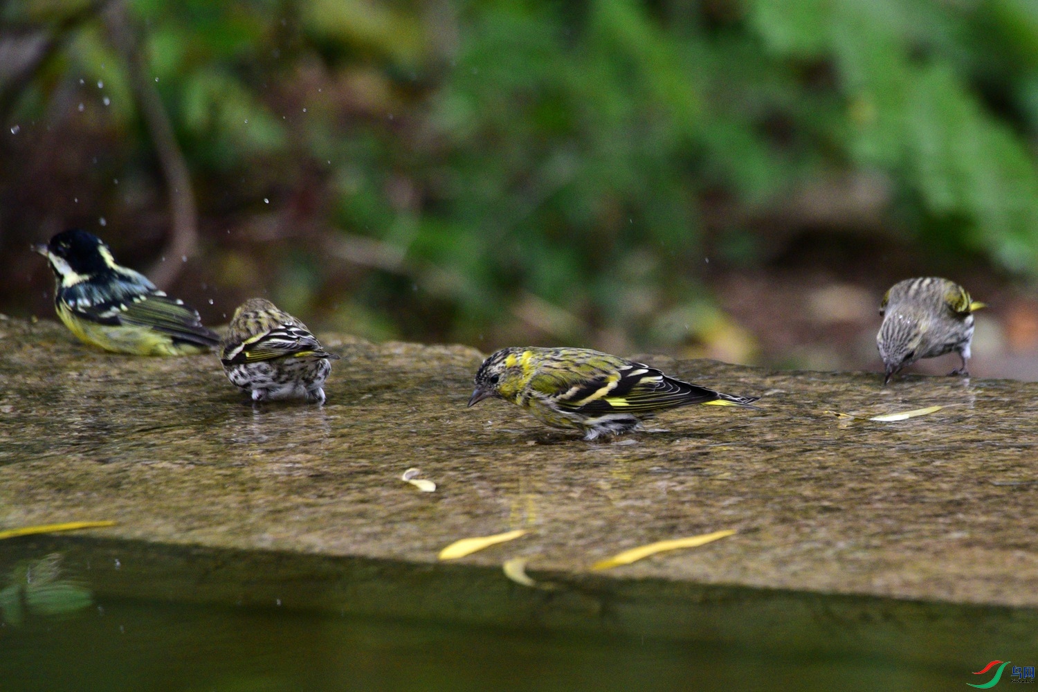 DSC_6192.JPG
