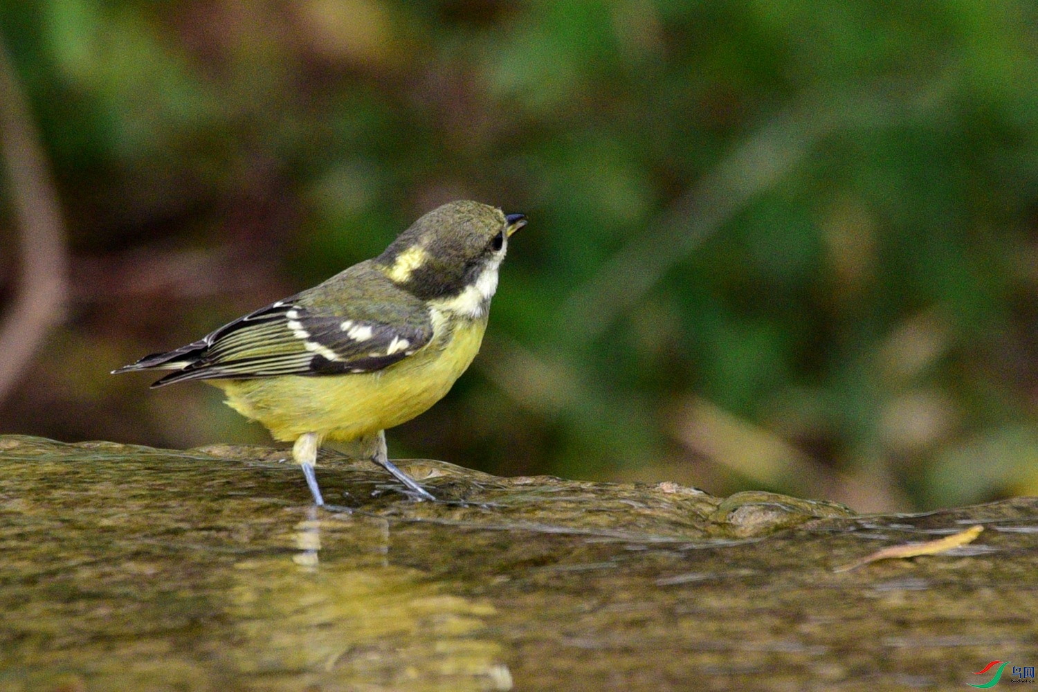 DSC_6477.JPG